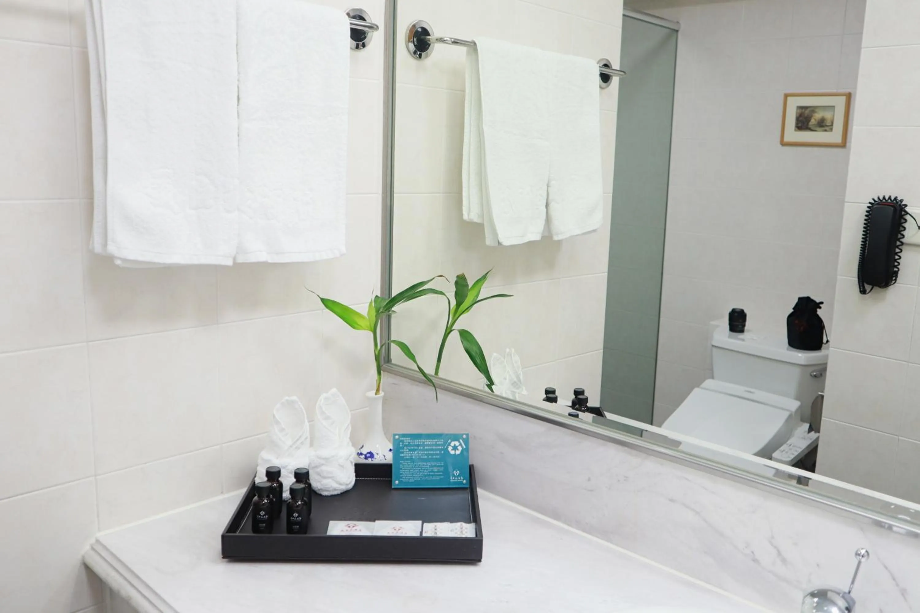 towels in Mason Hotel