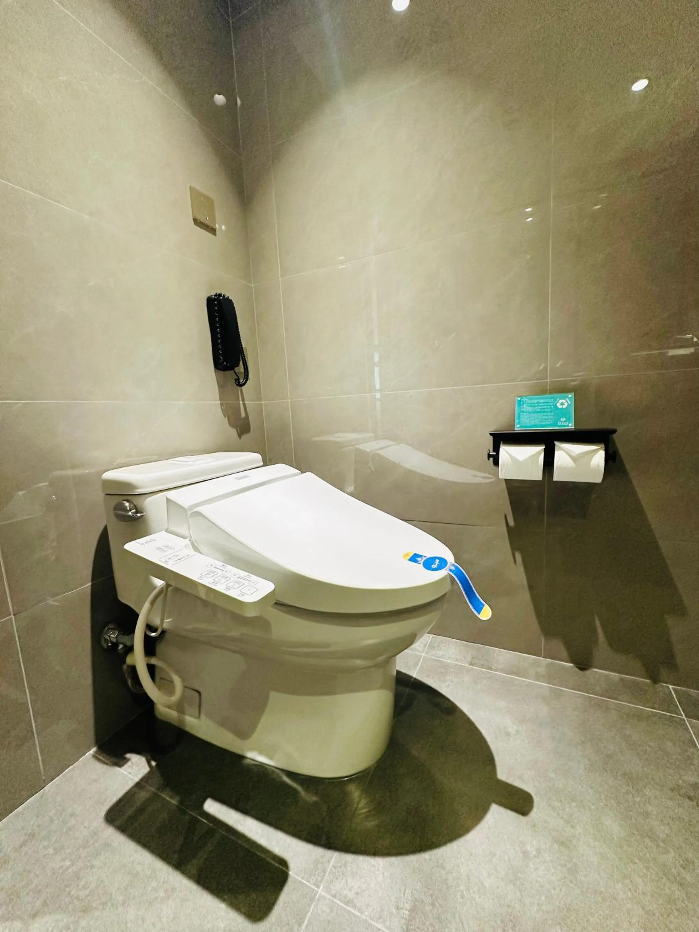 Toilet in Mason Hotel