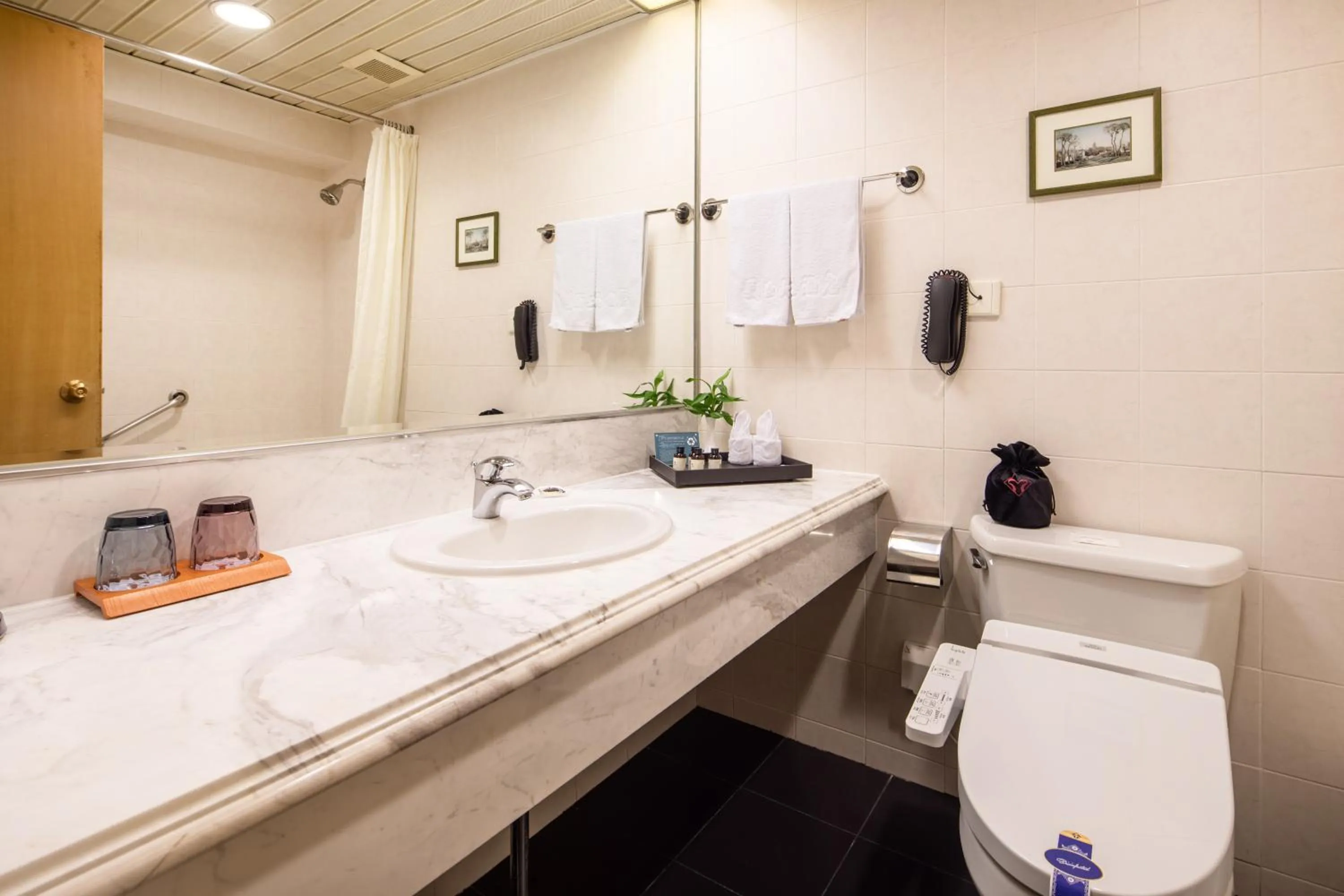 Toilet in Mason Hotel