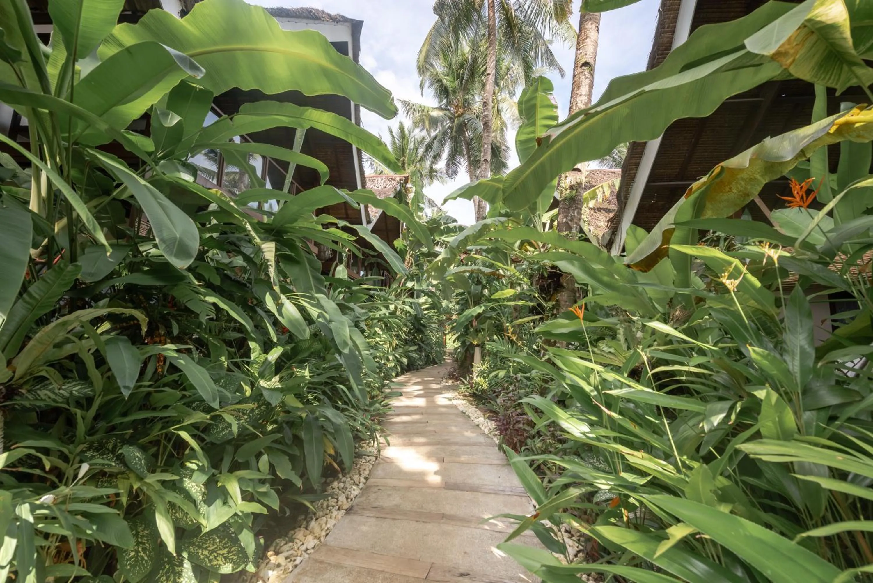 Garden in The Hillside Resort Siargao