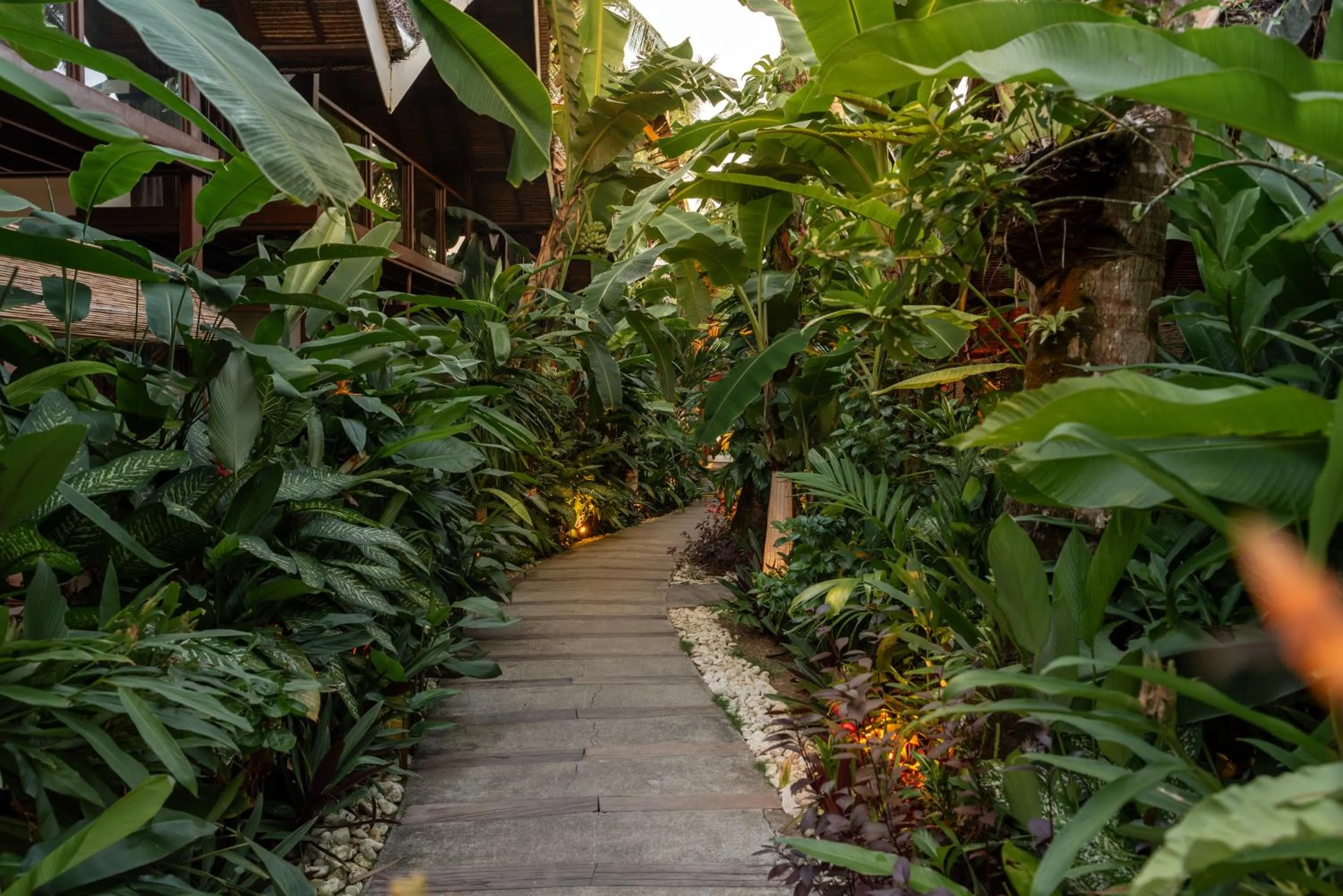 The Hillside Resort Siargao