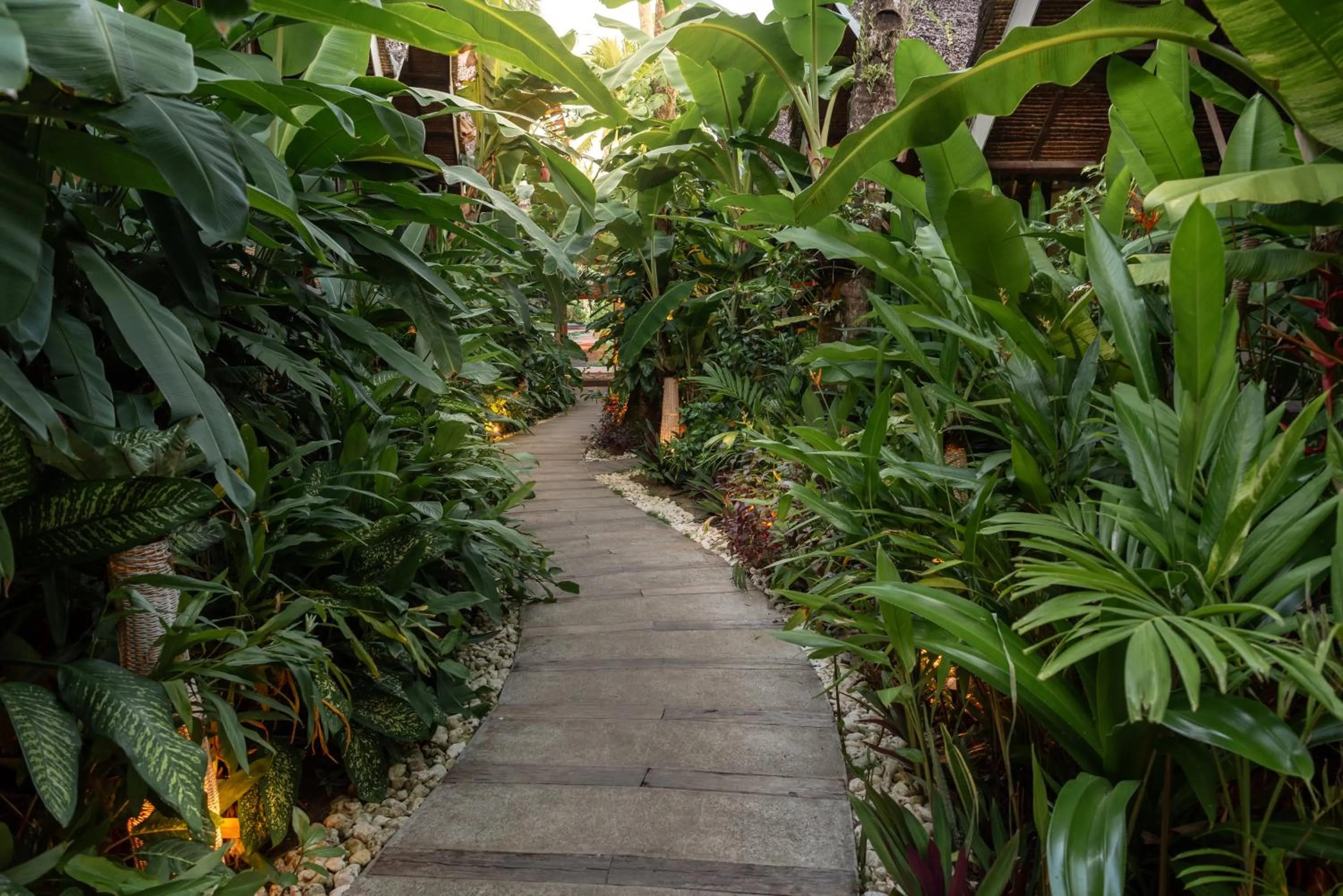 The Hillside Resort Siargao