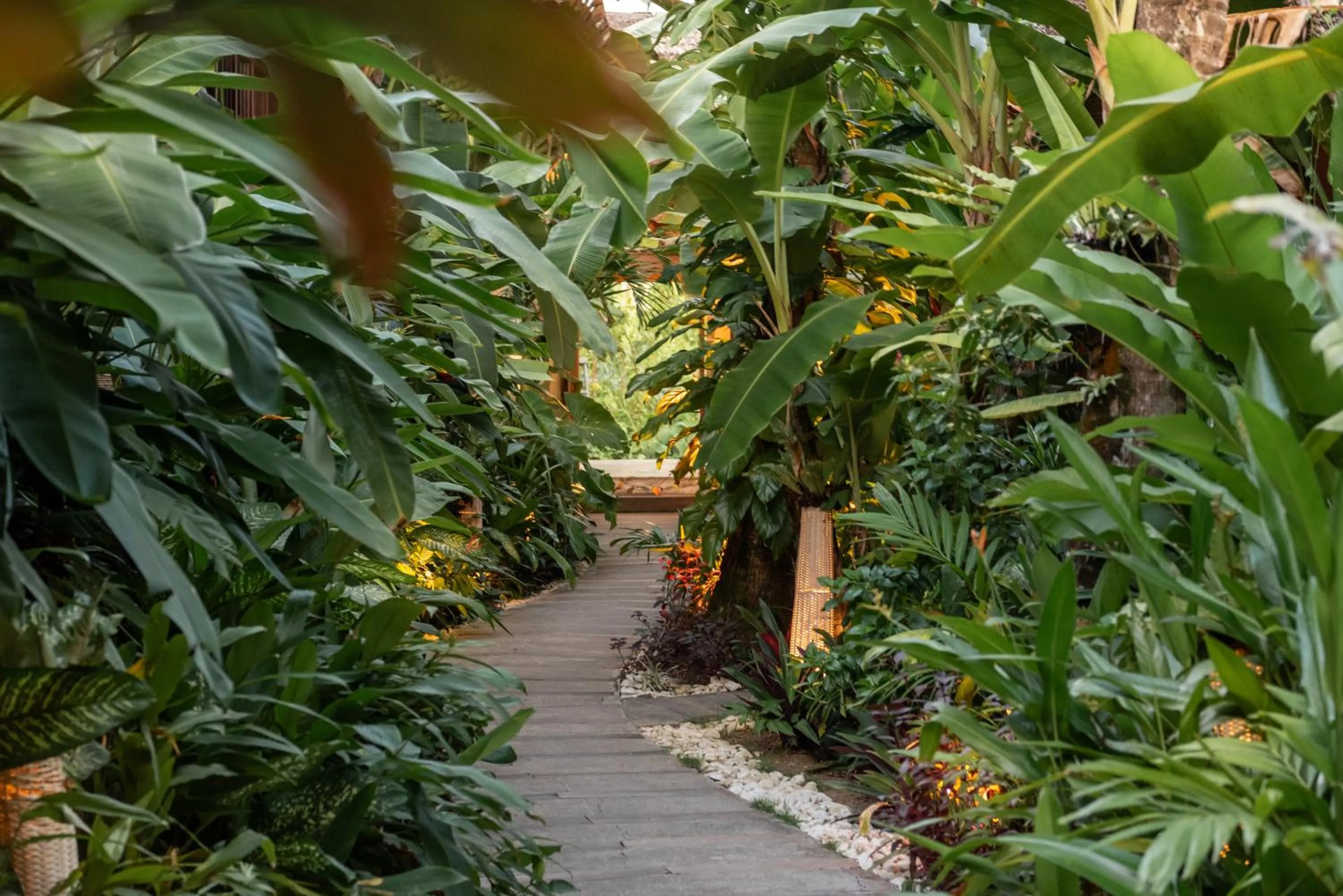 The Hillside Resort Siargao