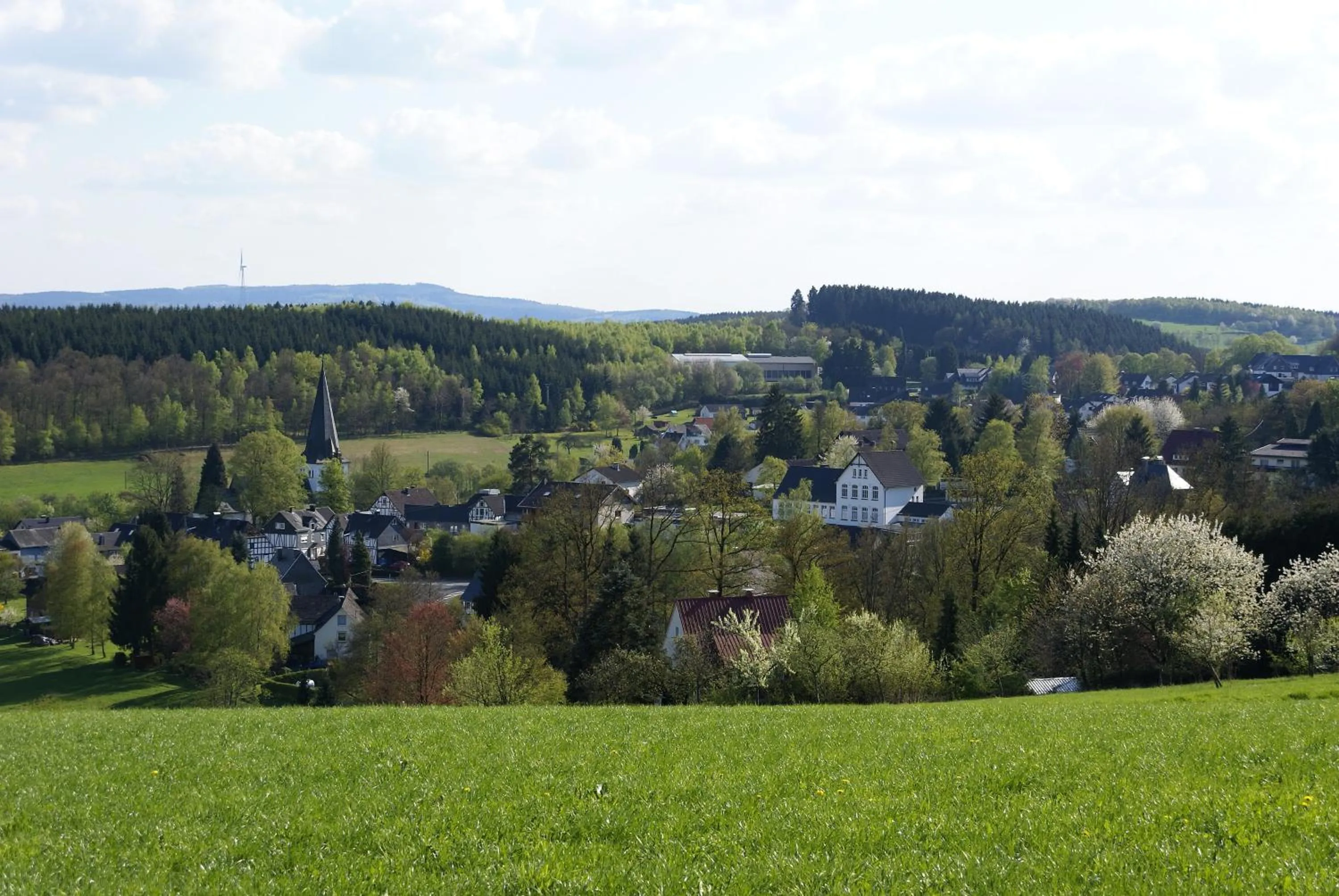 Natural landscape in Gasthof Schumacher Hotel garni