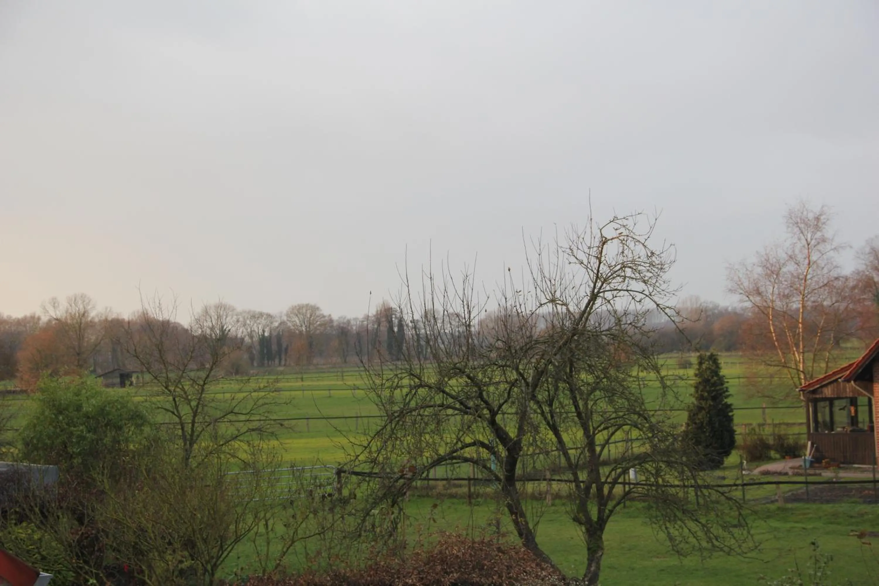 Area and facilities in Gasthaus Eickholt GmbH