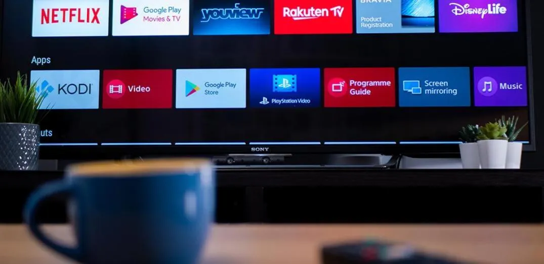 TV and multimedia in Metaxa Apartments