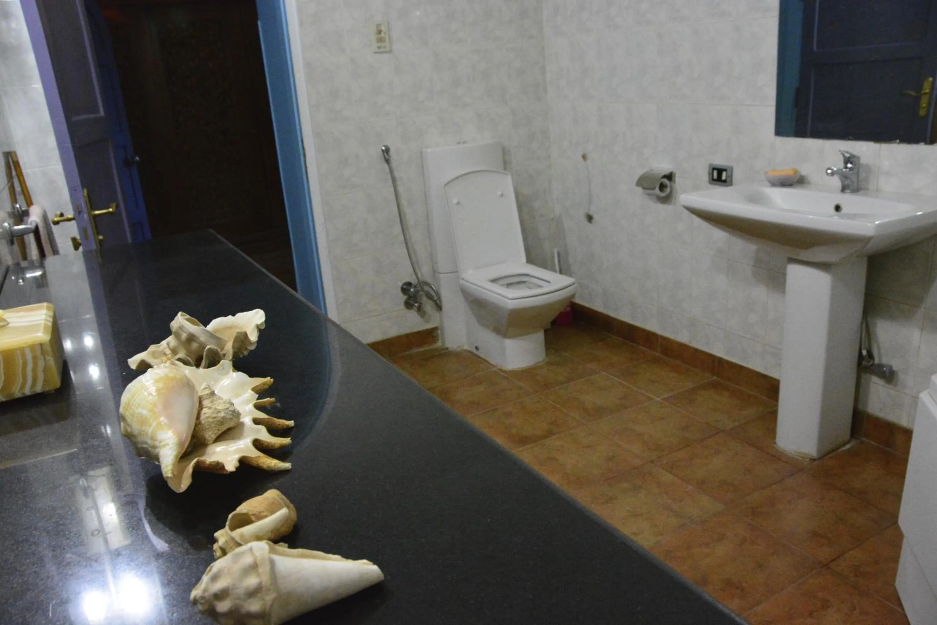 Bathroom in Nubian Holiday House Aswan