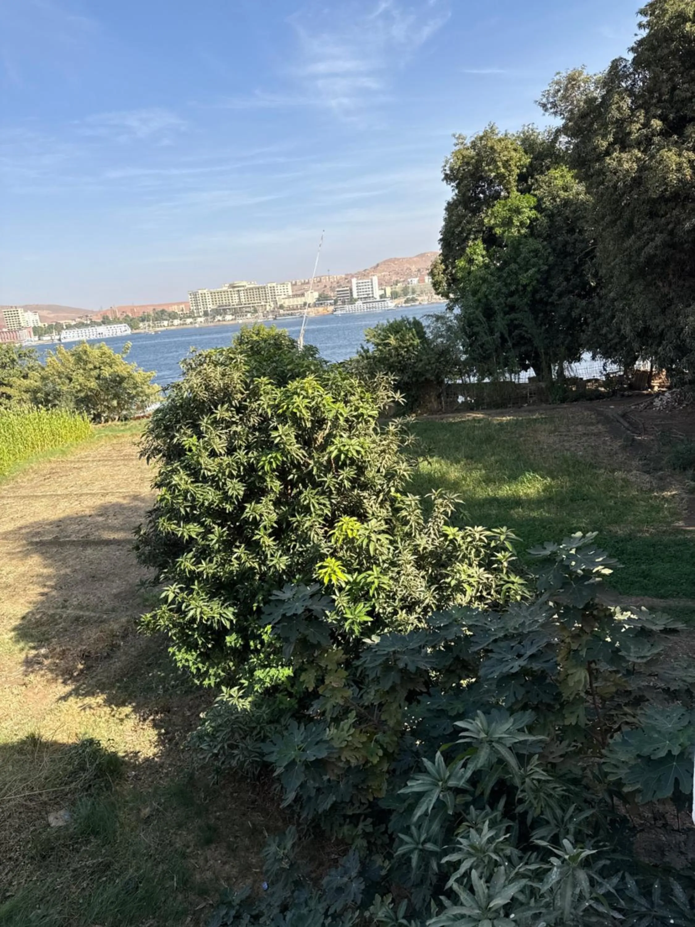 Nubian Holiday House Aswan