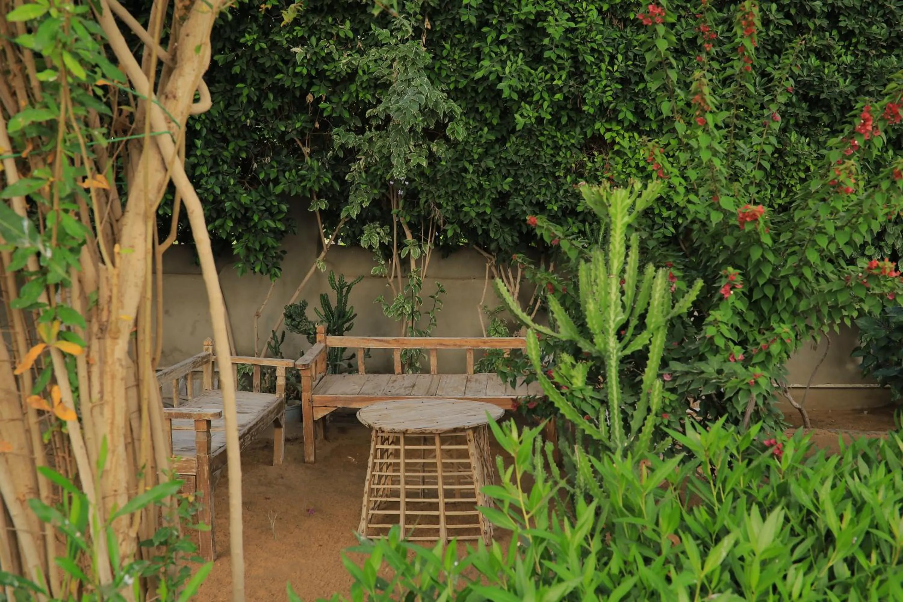 Garden in Nubian Holiday House Aswan