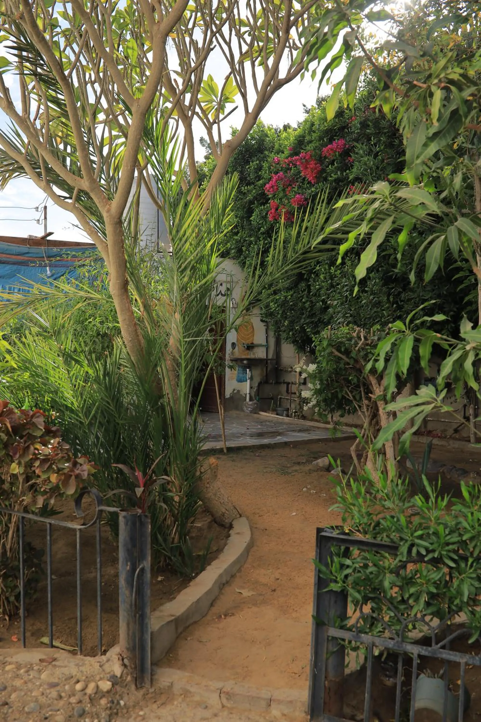 Garden in Nubian Holiday House Aswan