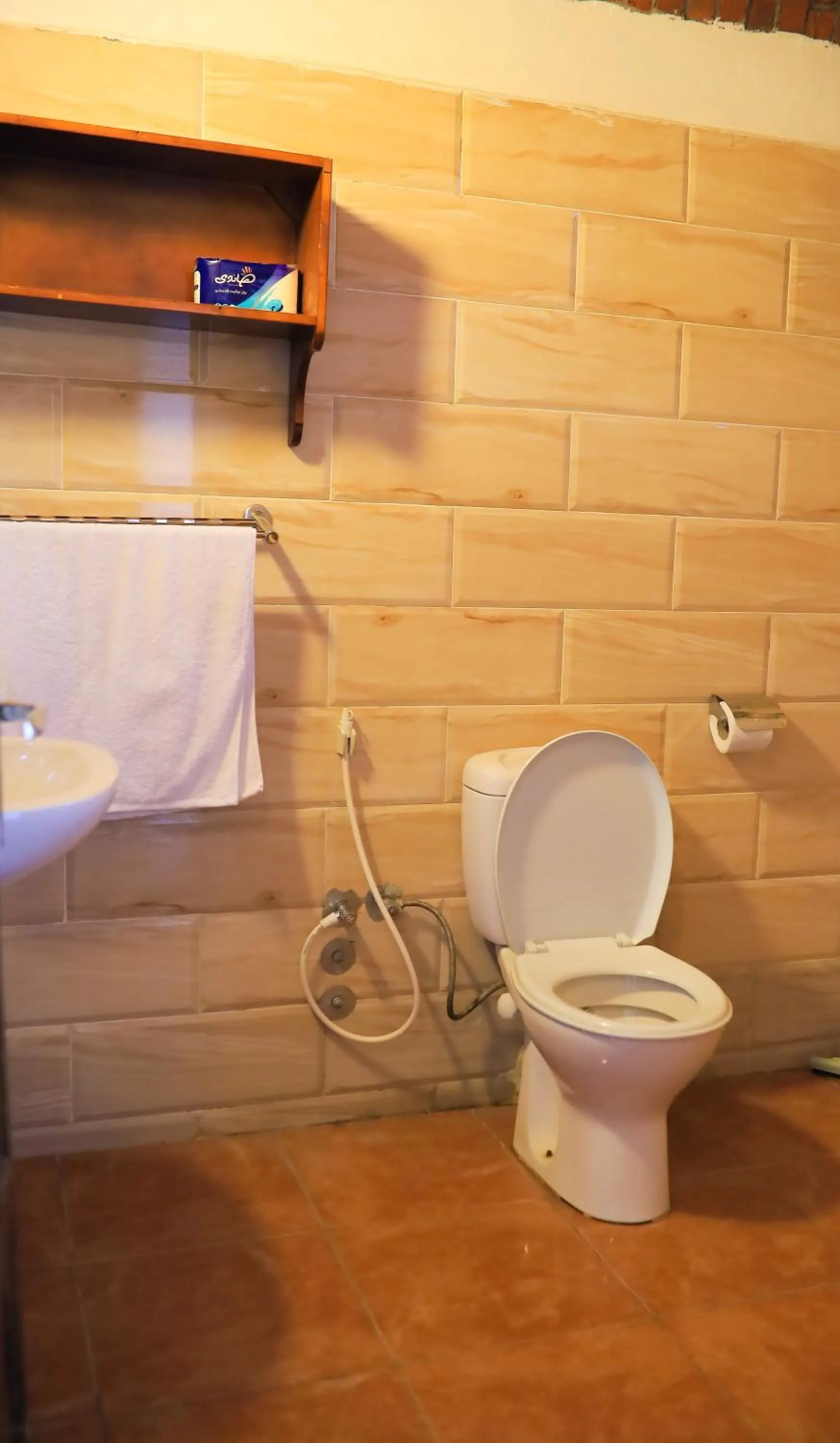 Toilet in Nubian Holiday House Aswan