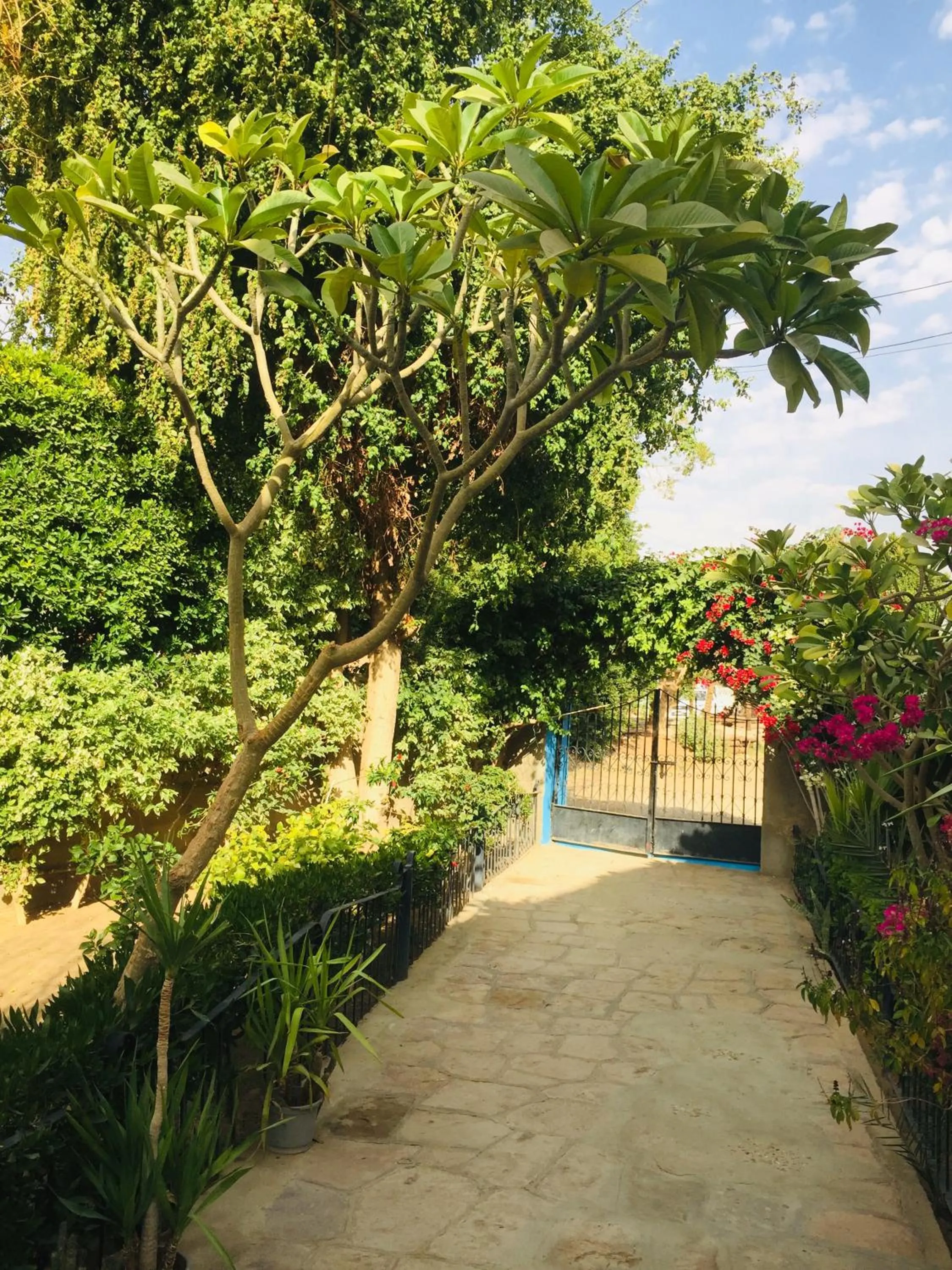 Facade/entrance in Nubian Holiday House Aswan