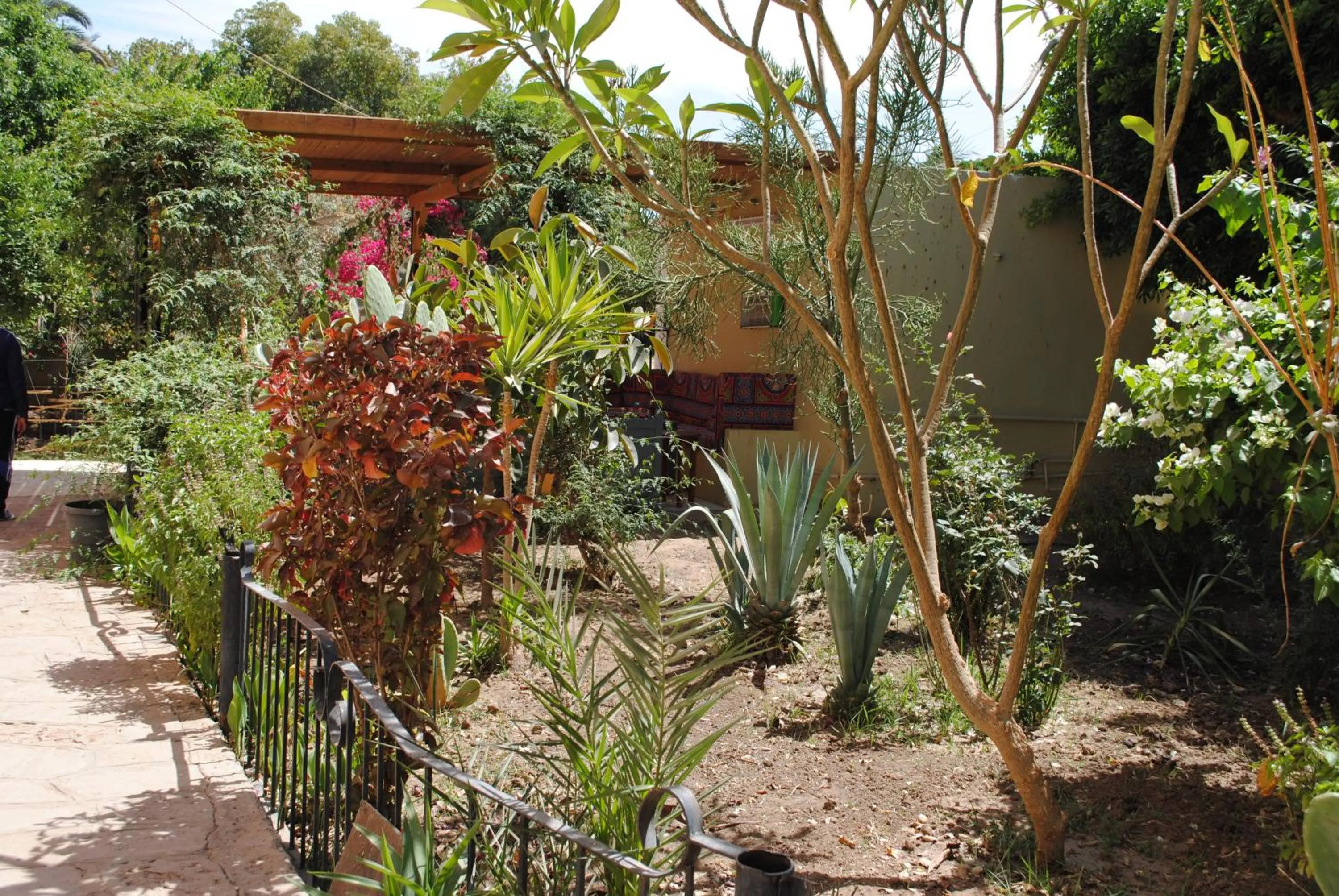 Day in Nubian Holiday House Aswan