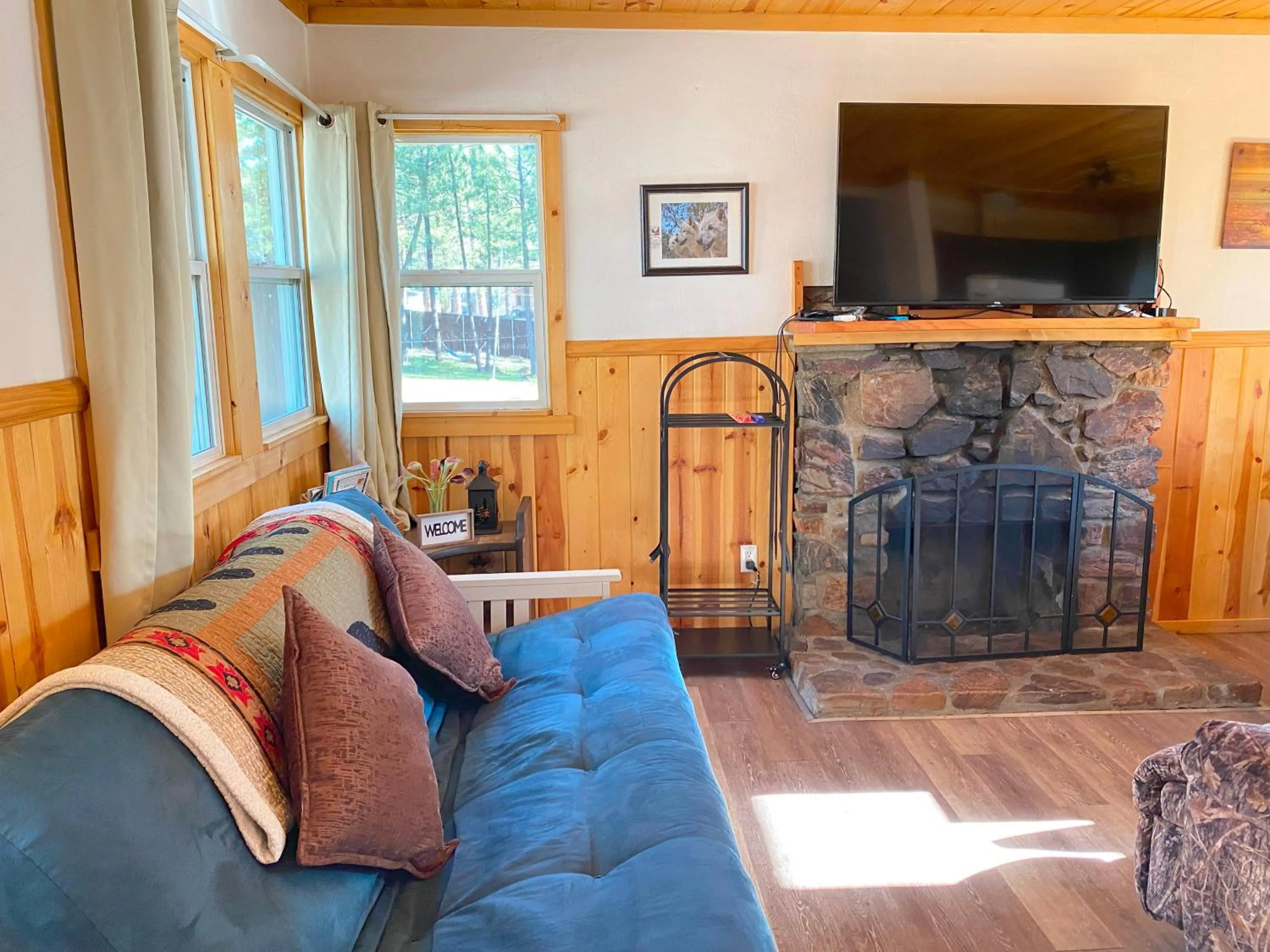 TV and multimedia in Blue Horizon Lodge