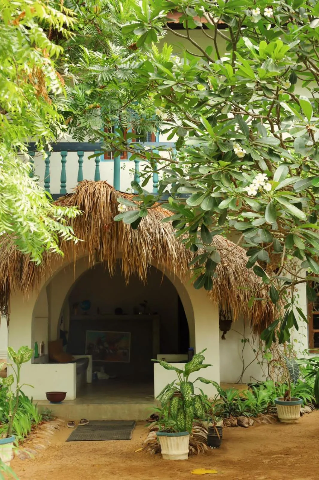 Property building in Waypoint Arugam Bay