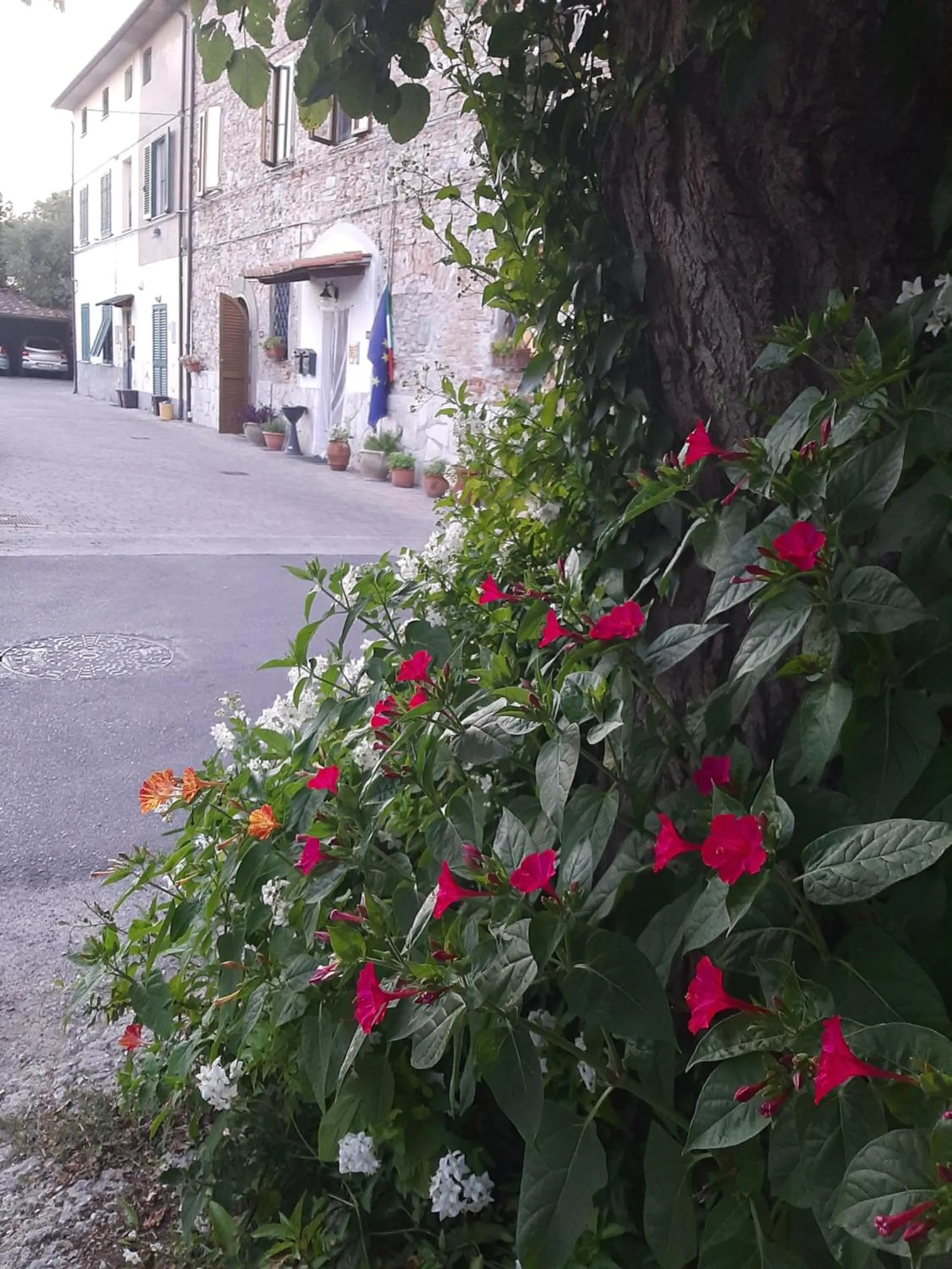 Facade/entrance in B&B A Casa Mia