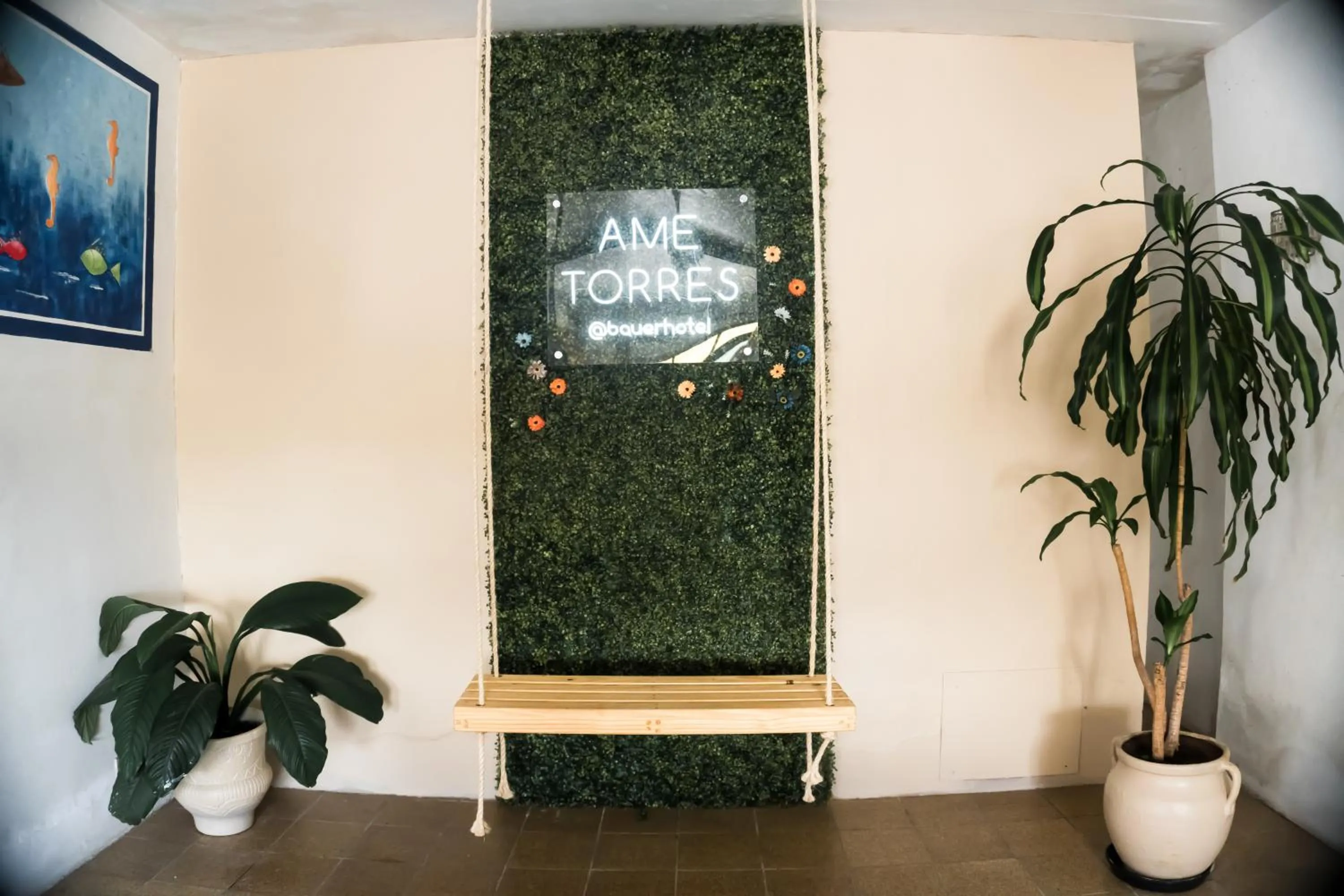 Area and facilities in Hotel Bauer