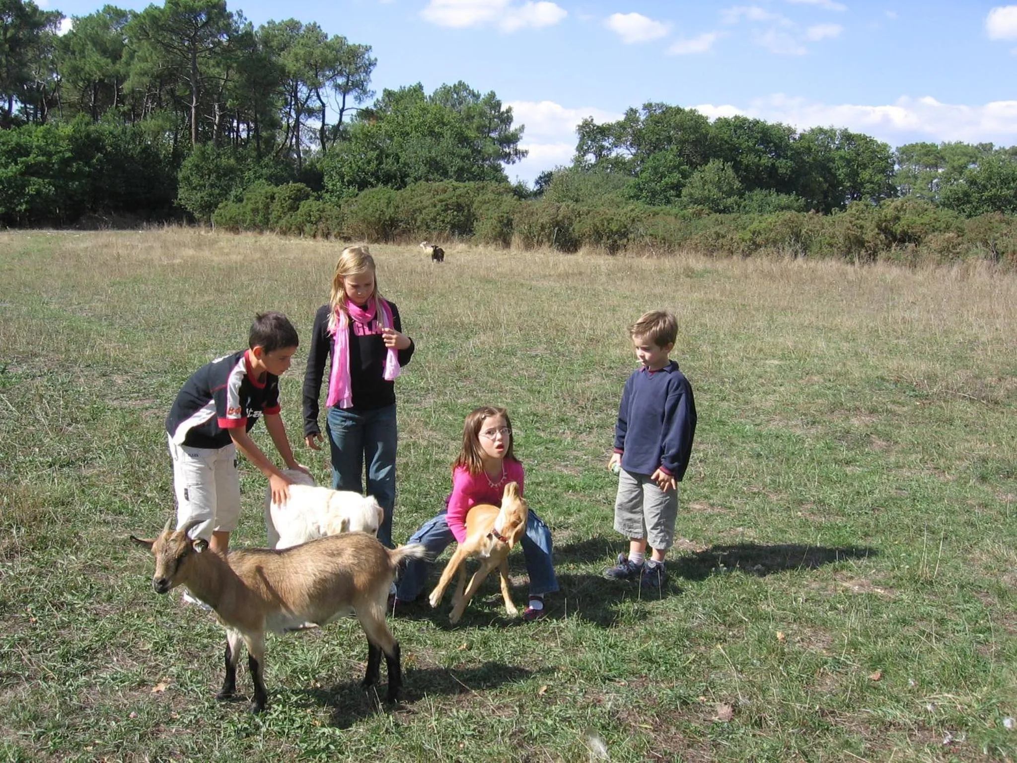 children in Le clos du Tay