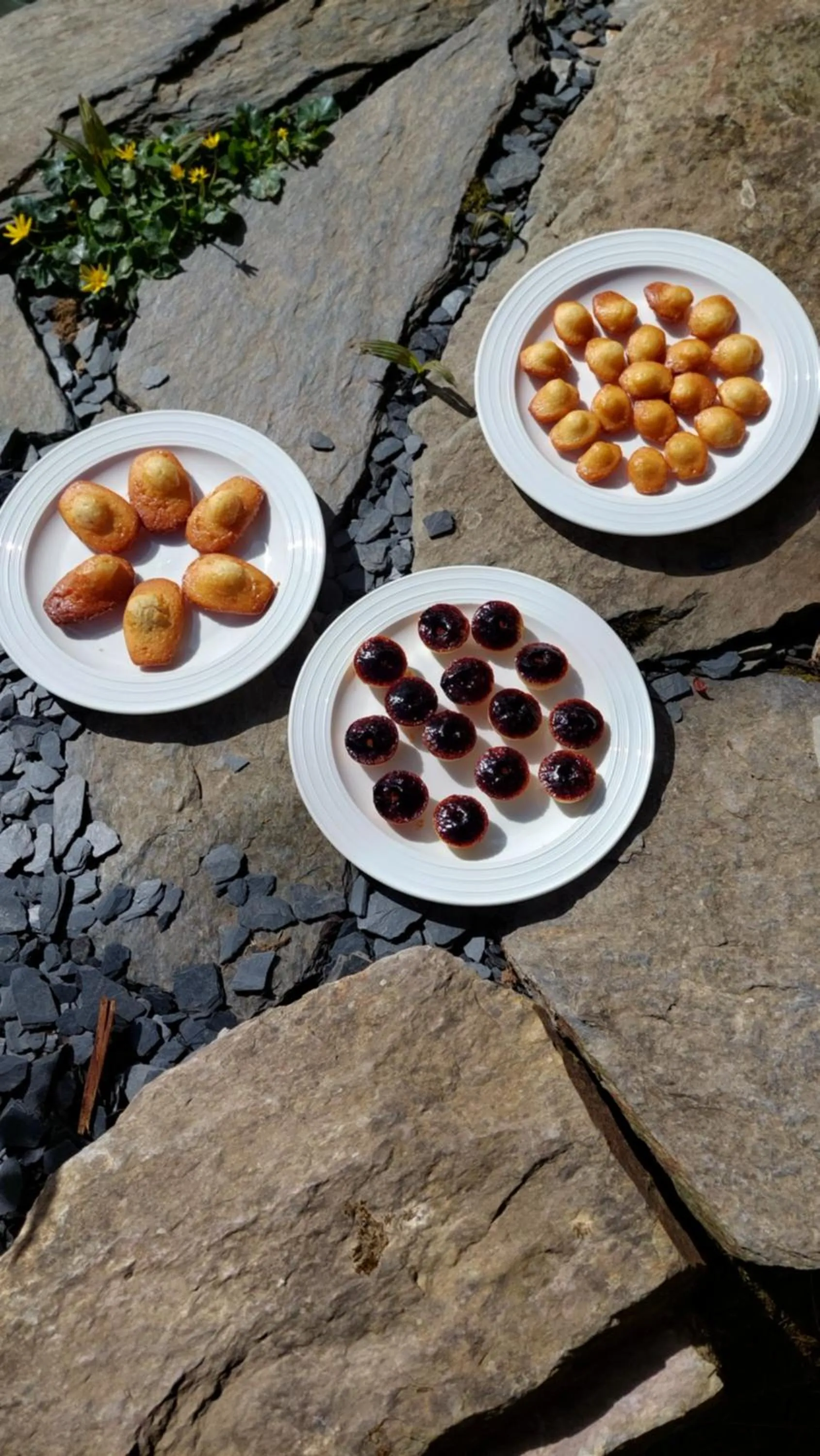 Food and drinks in Le clos du Tay