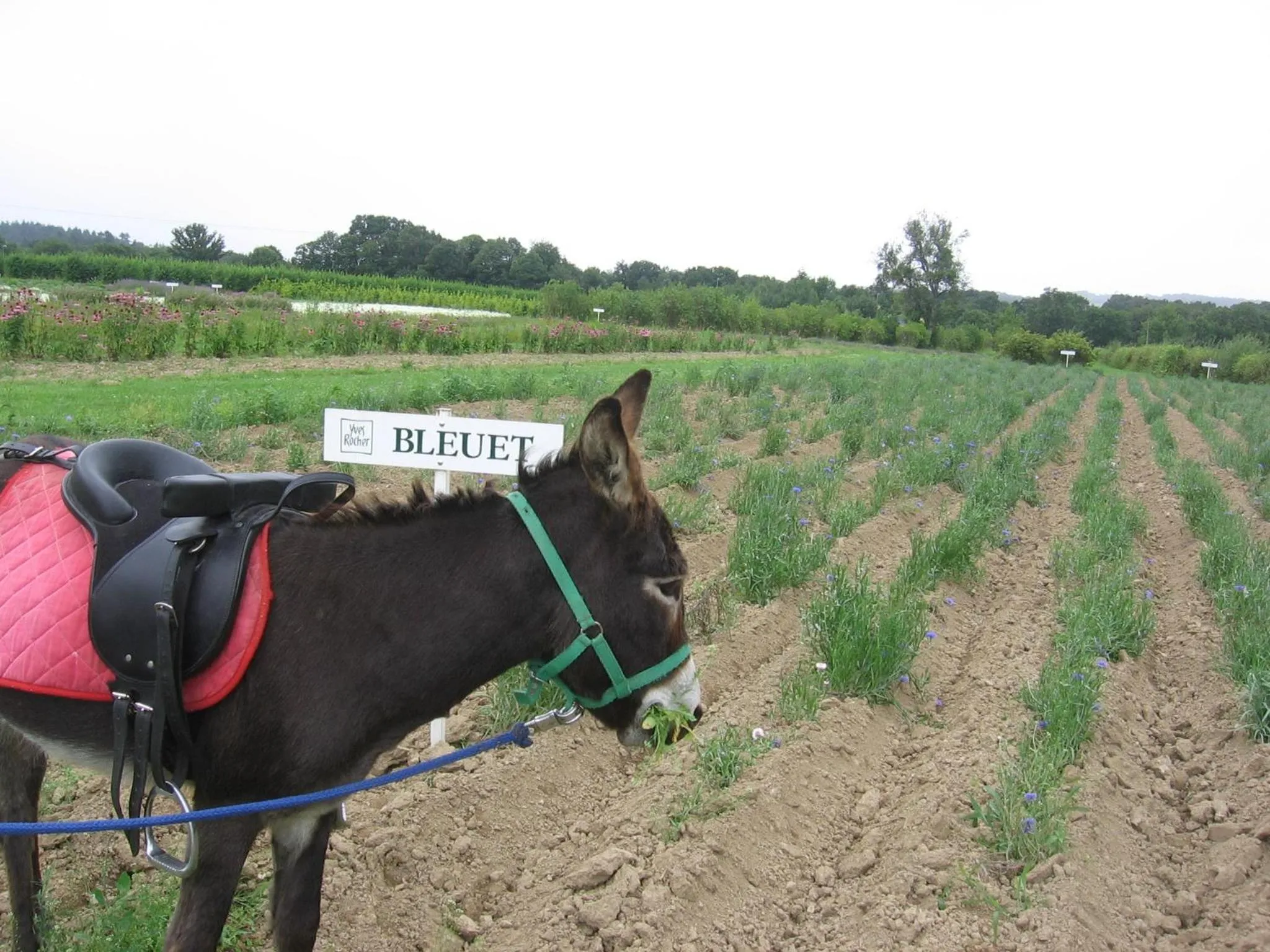 Activities in Le clos du Tay