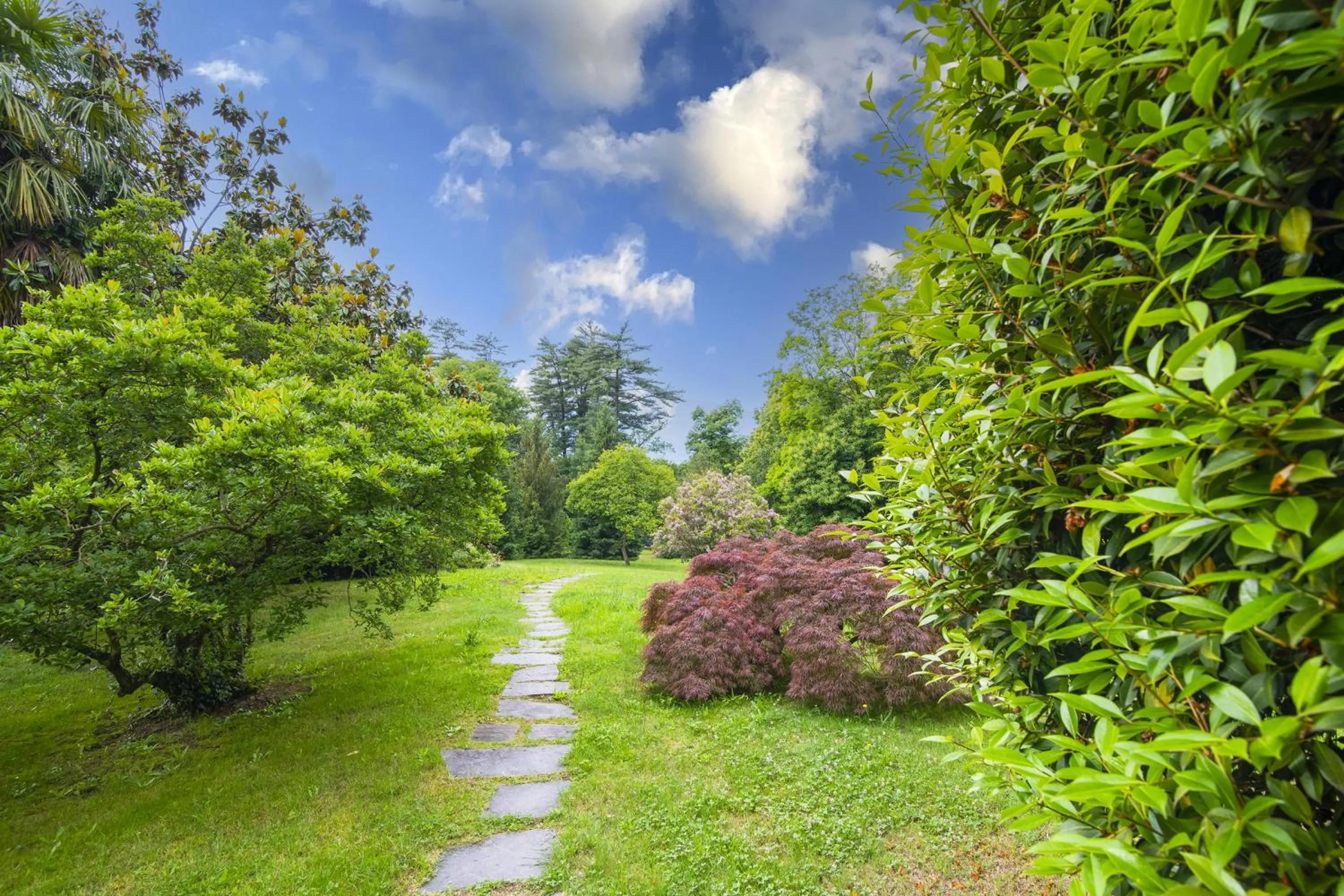 Garden in Villa La Verbanina Private Garden - Happy Rentals
