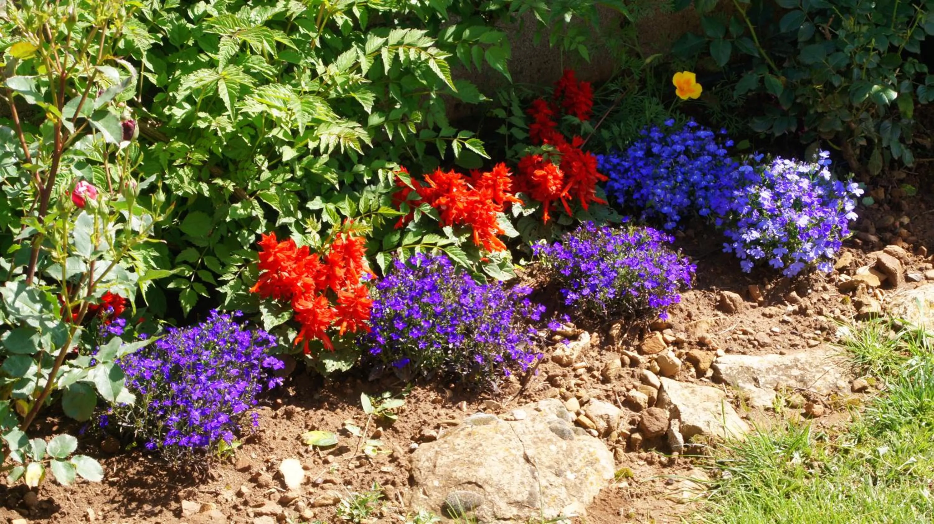 Garden in Acaba d'Entrar