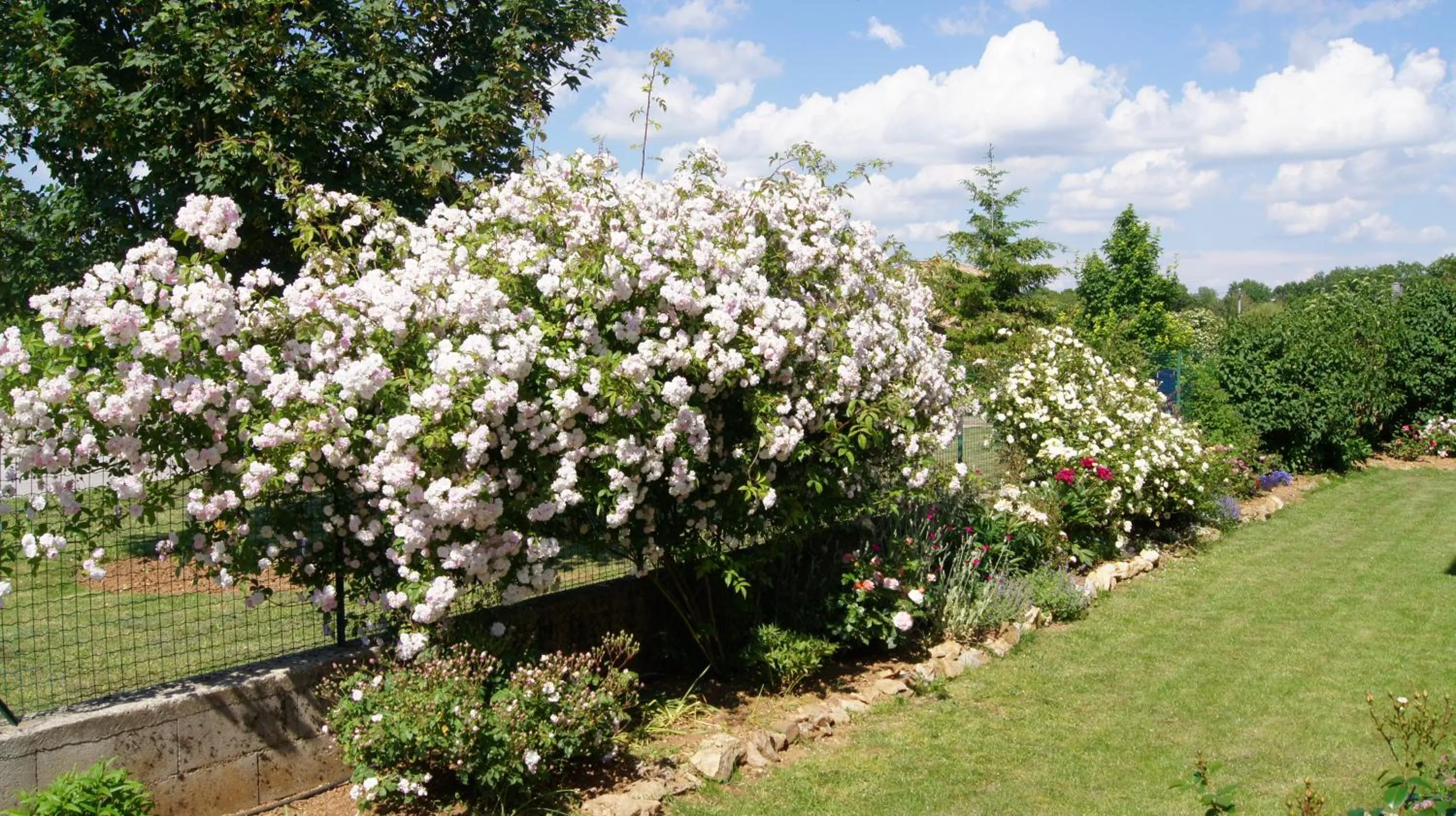 Garden view in Acaba d'Entrar