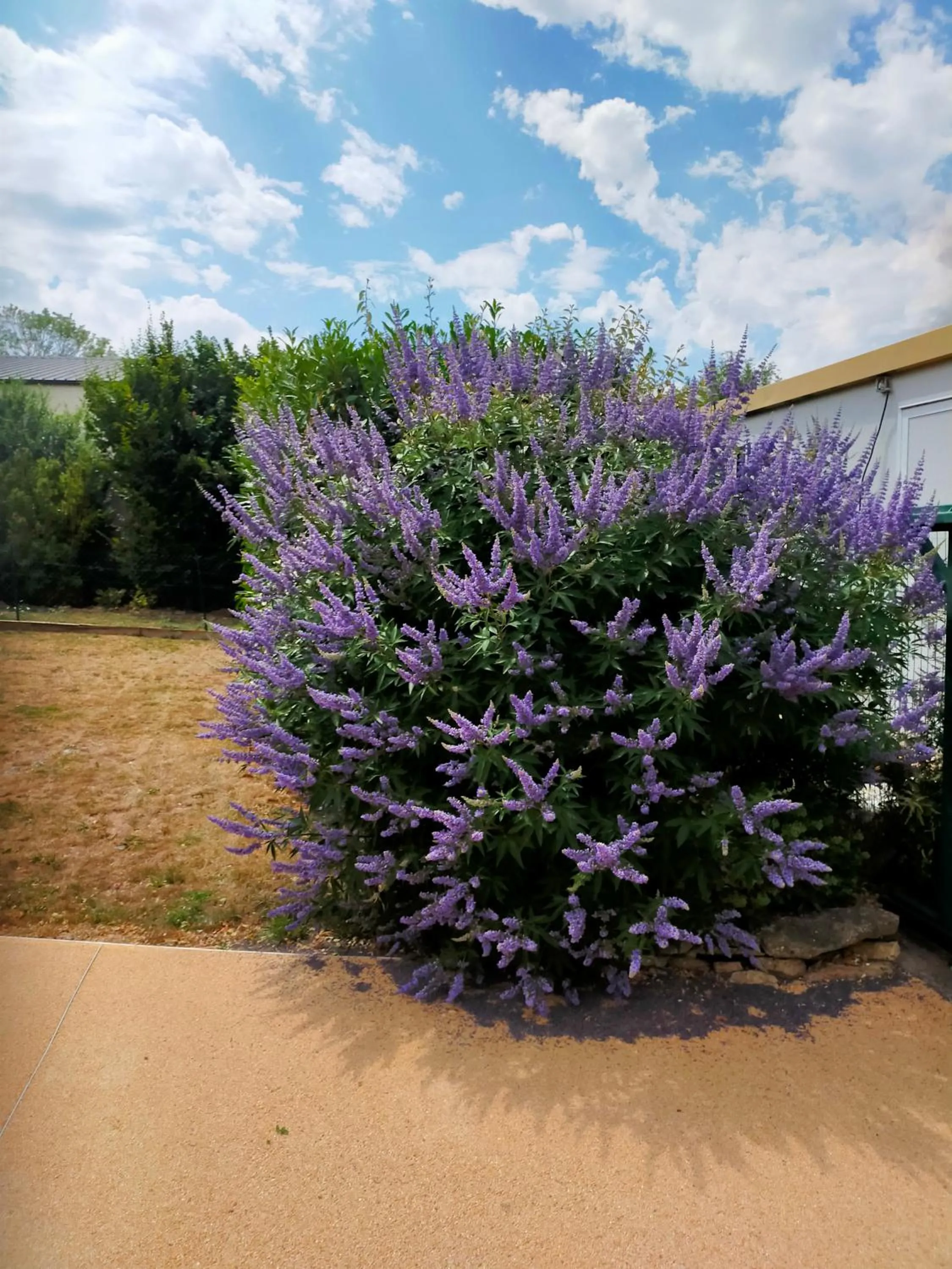 Facade/entrance in Acaba d'Entrar