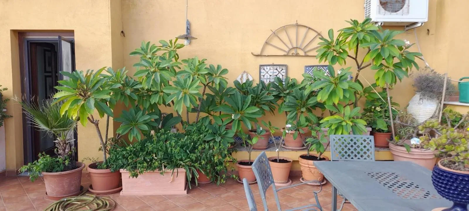 terrazze di montelusa