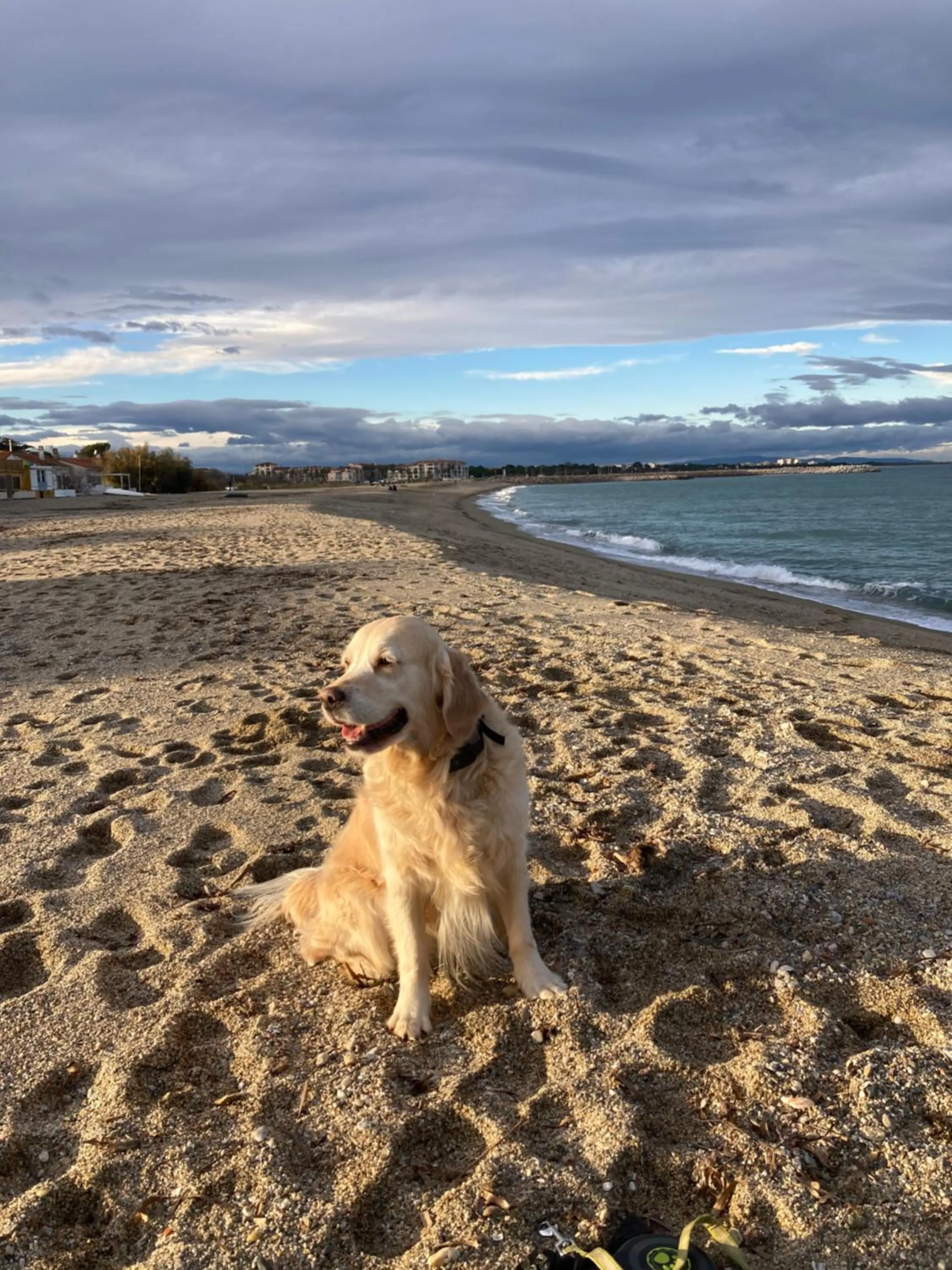 Pets in chambre d'hôtes Villa Côte Vermeille