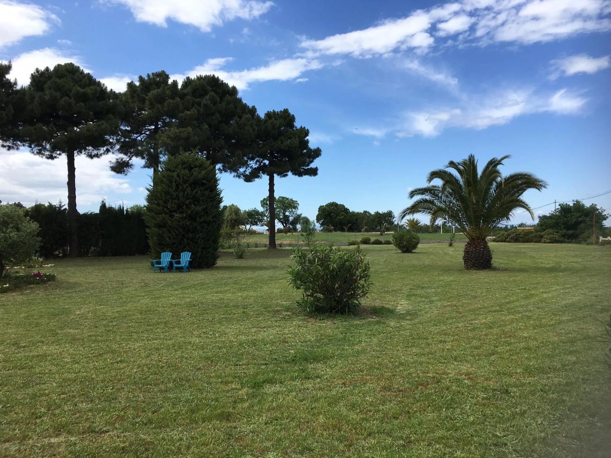 Garden in chambre d'hôtes Villa Côte Vermeille
