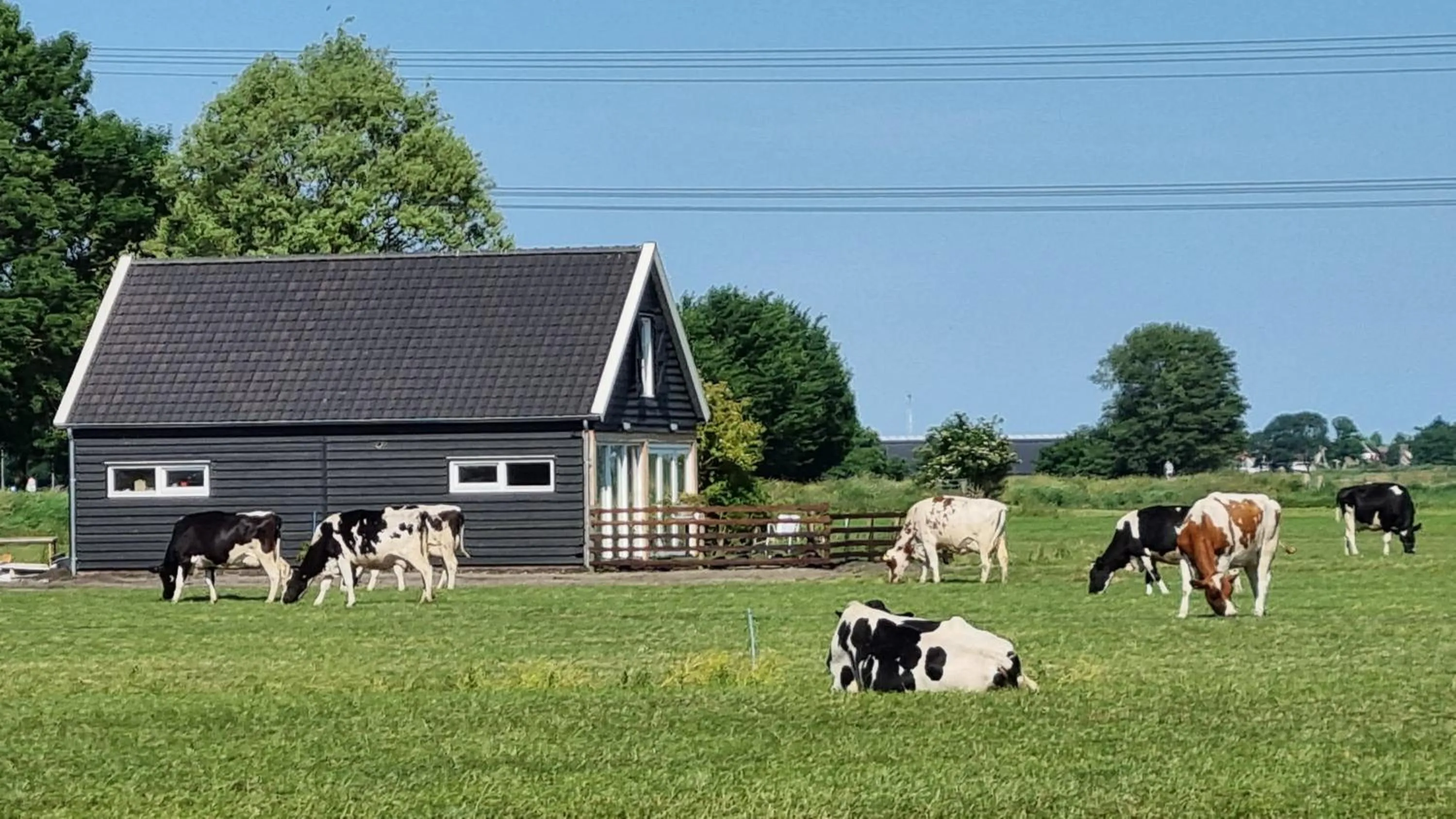 Natural landscape in City Farmer Amsterdam a Guesthouse with free parking, Bed, Bike and Breakfast