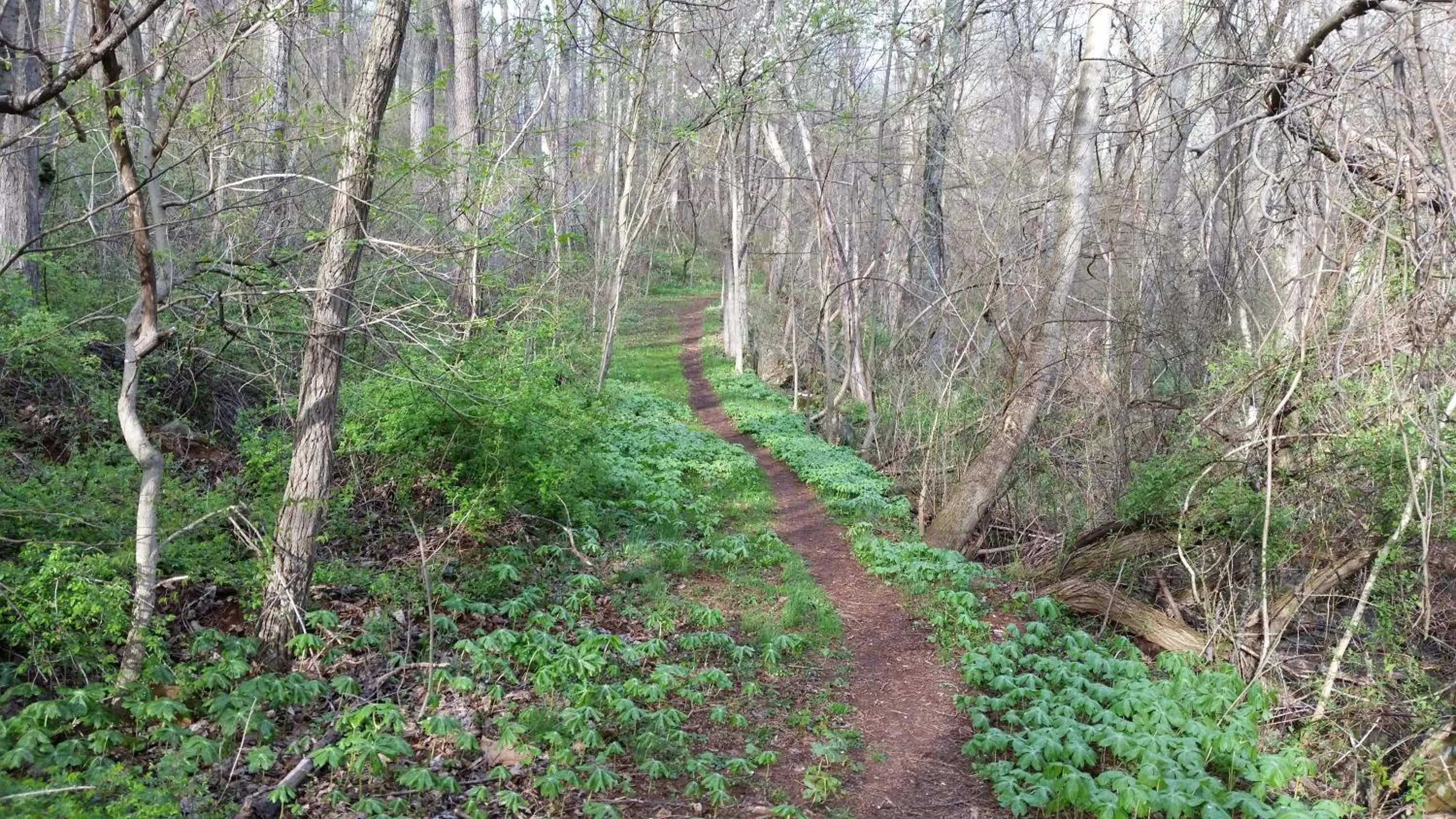 Hiking in Mountain Home Bed & Breakfast