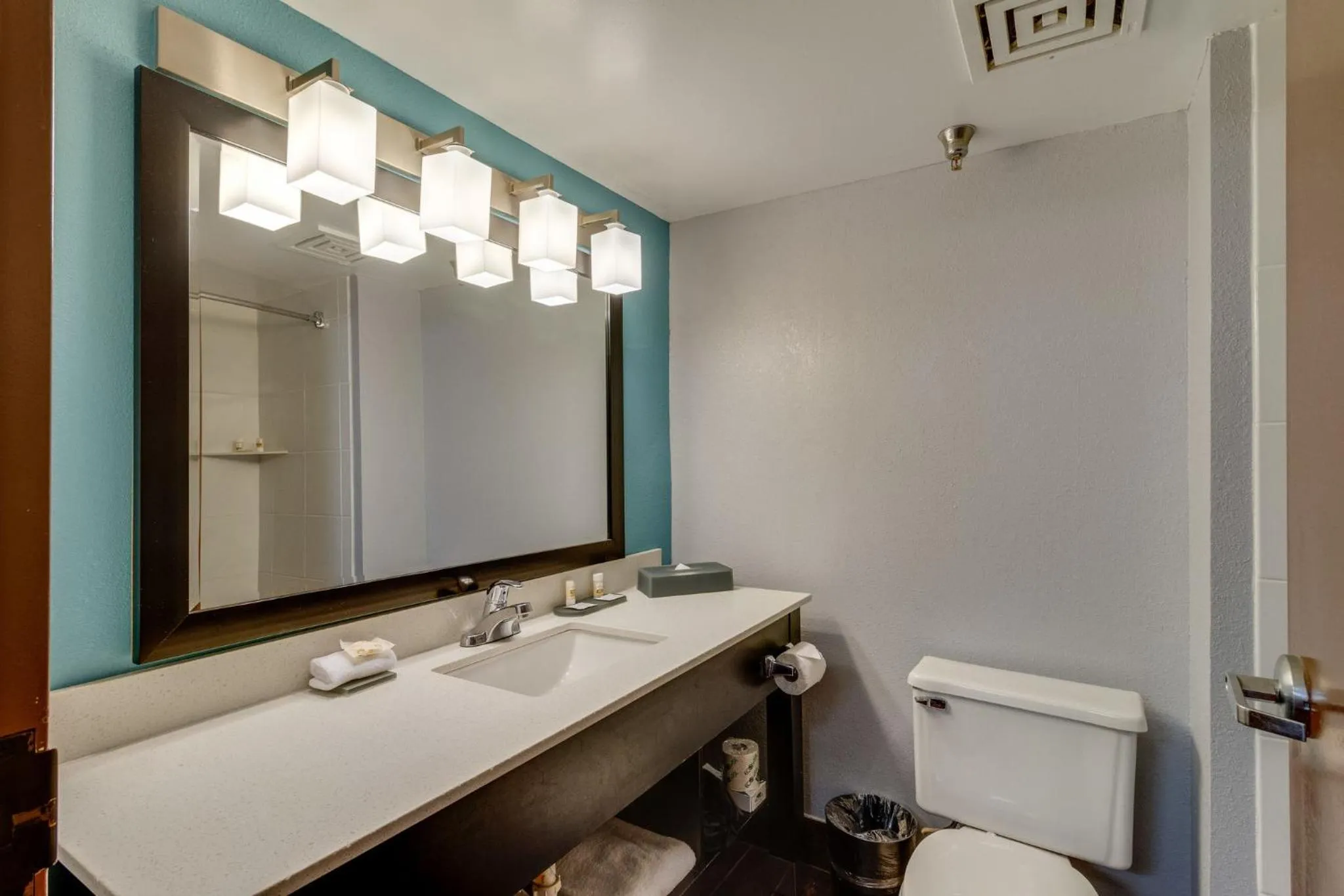 Bathroom in La Quinta by Wyndham Sevierville / Kodak