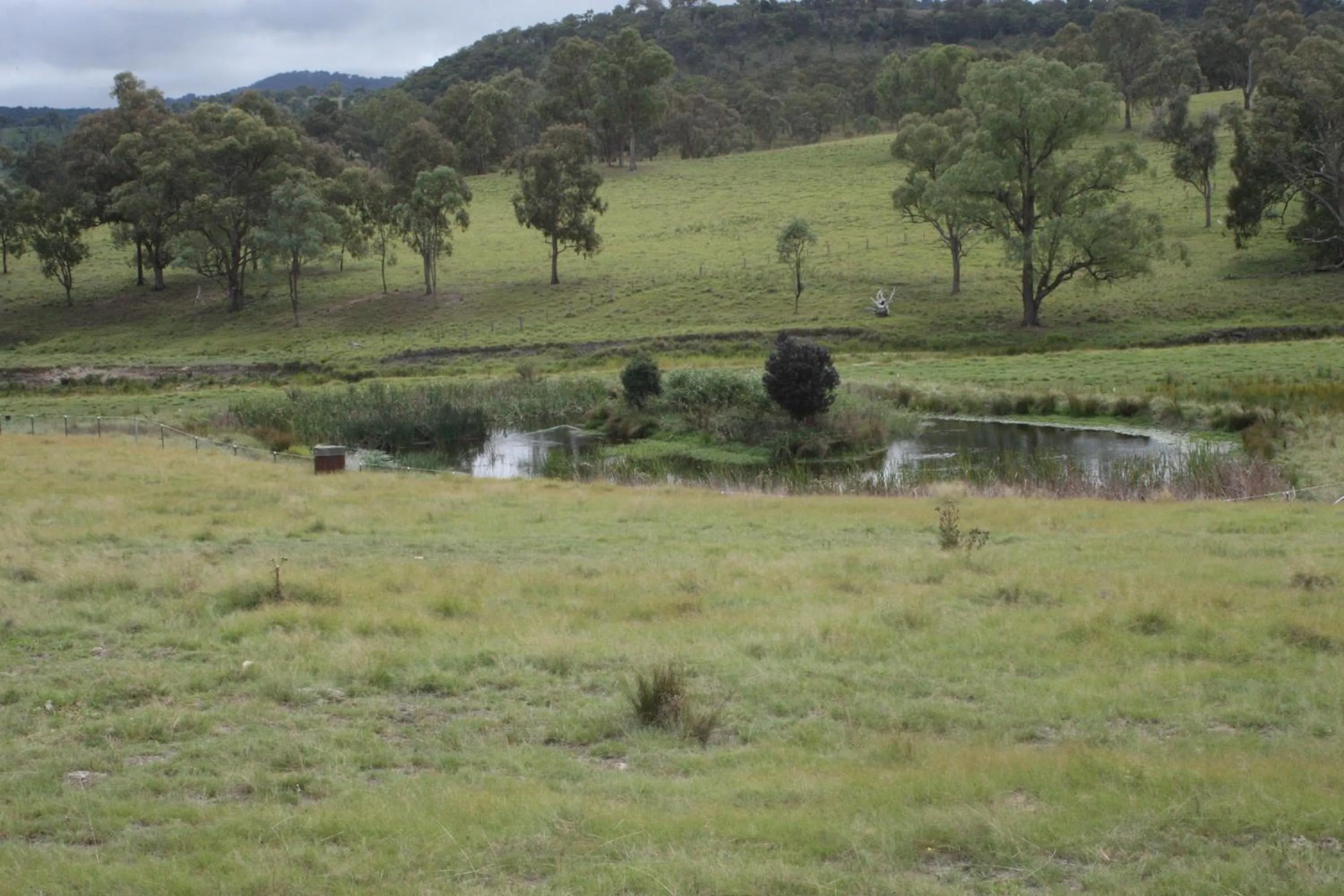 Garden in Donegal Farmstay