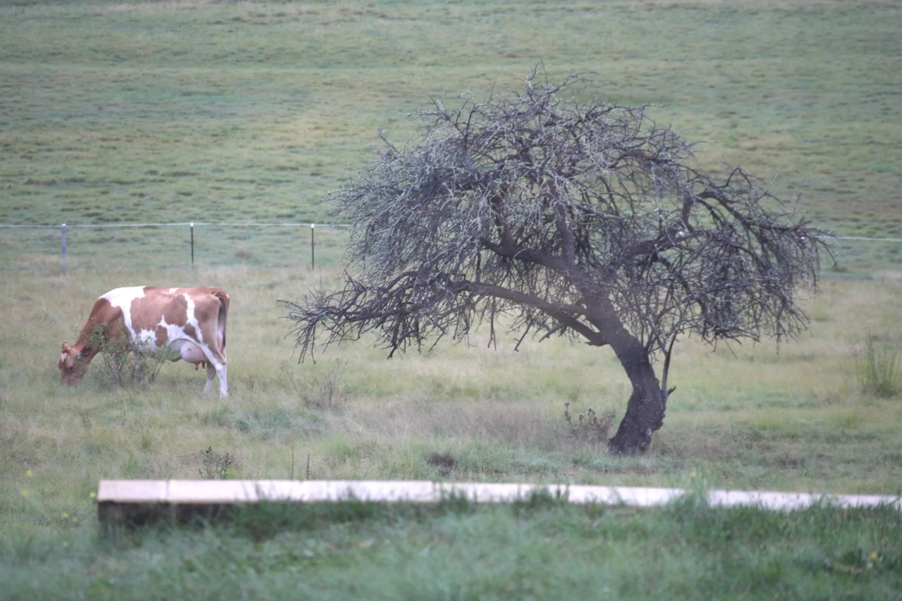 Natural landscape in Donegal Farmstay