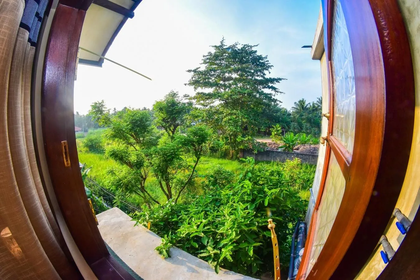 Garden view in Wattle Inn