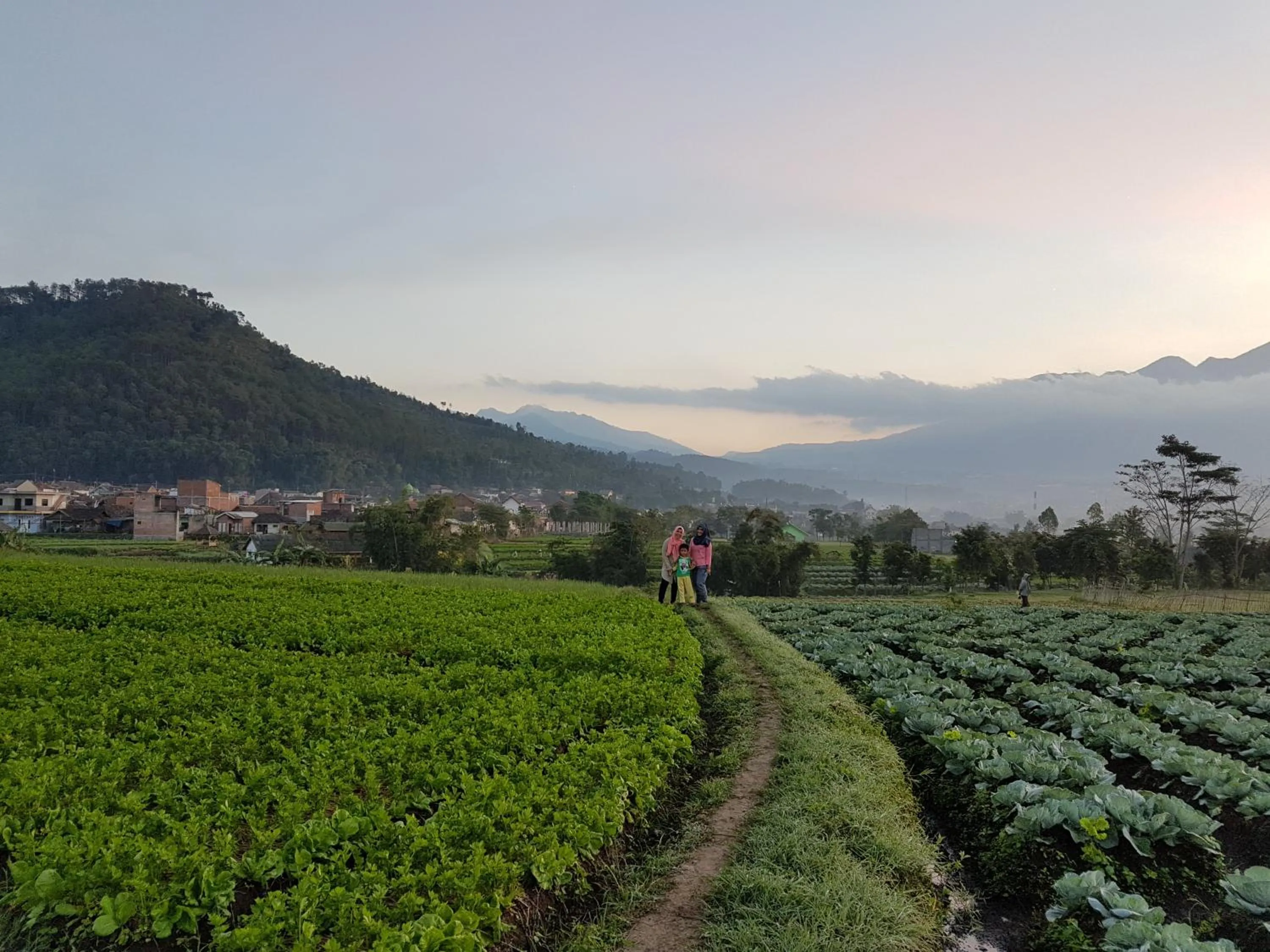 Property building in Villa Mutiara Batu