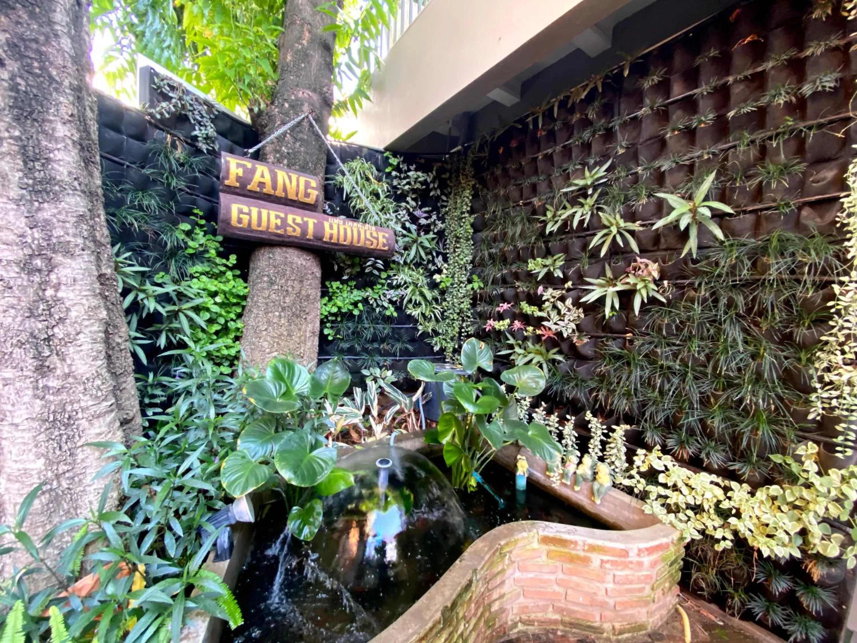 Garden in Fang Chiang Mai โรงแรมแฟงเชียงใหม่