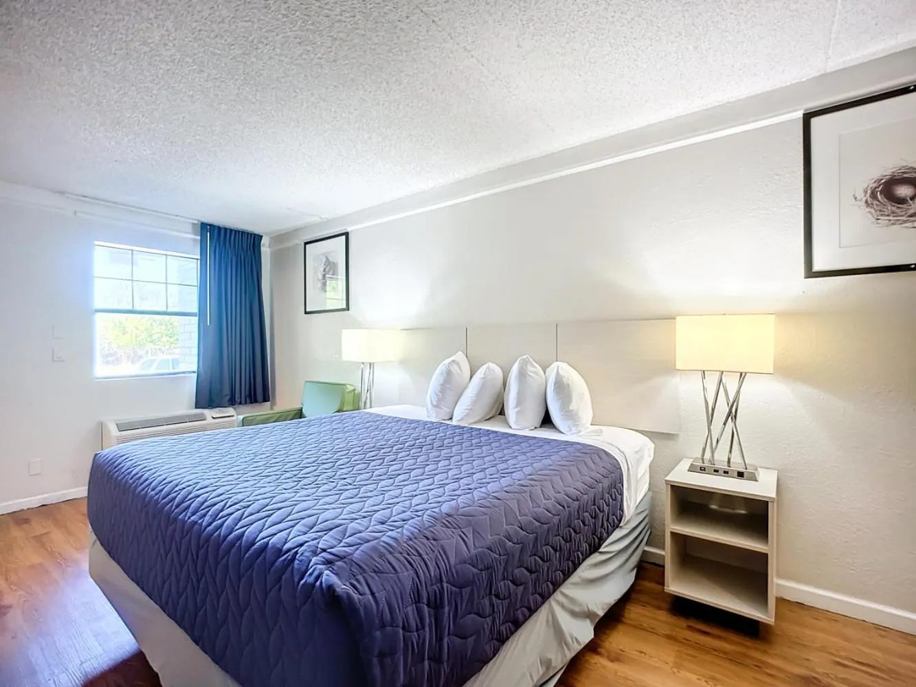 Bed in SoHo Inn and Suites Jacksonville North