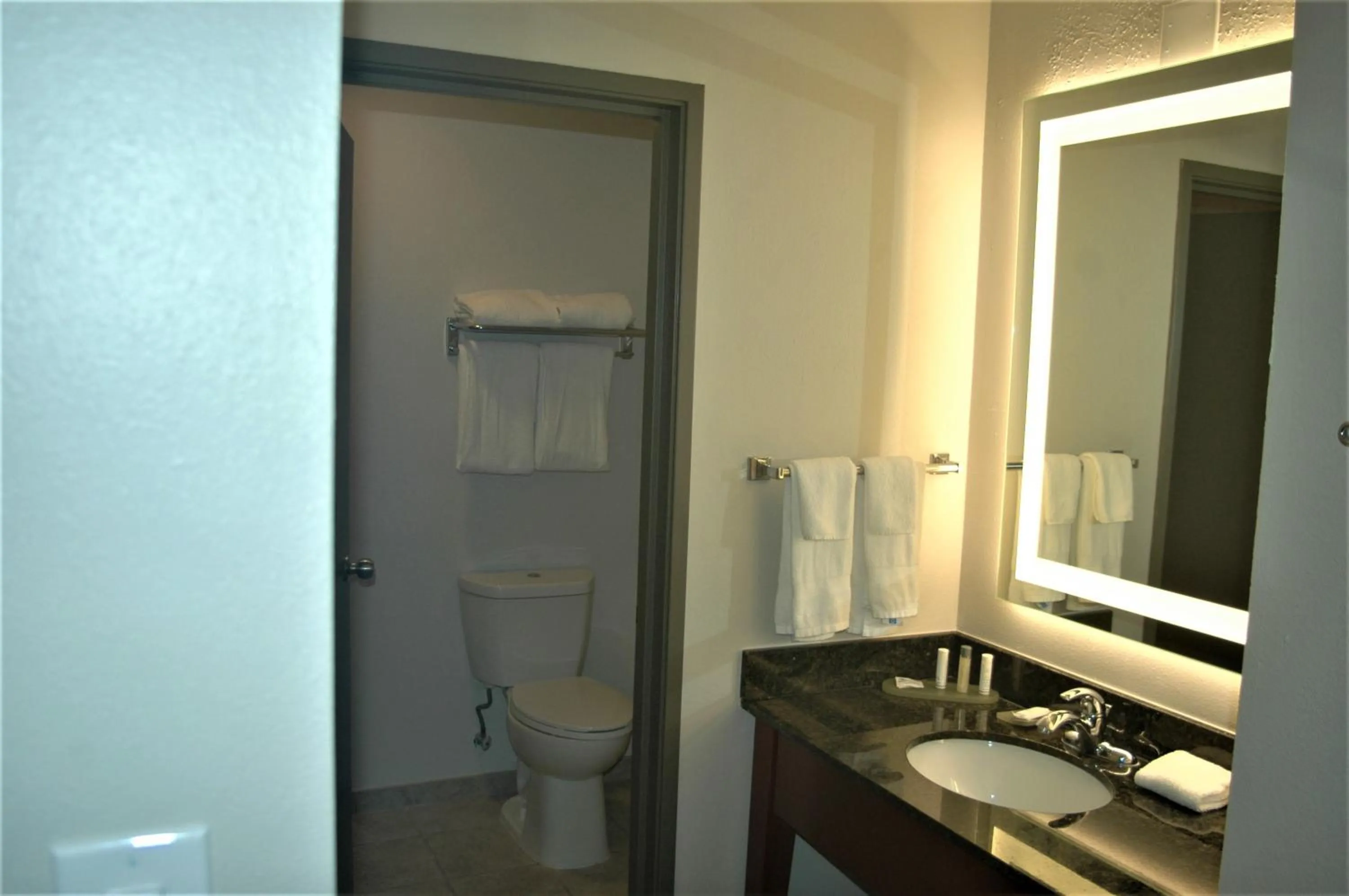 Bathroom in Wingate by Wyndham Valdosta/Moody AFB