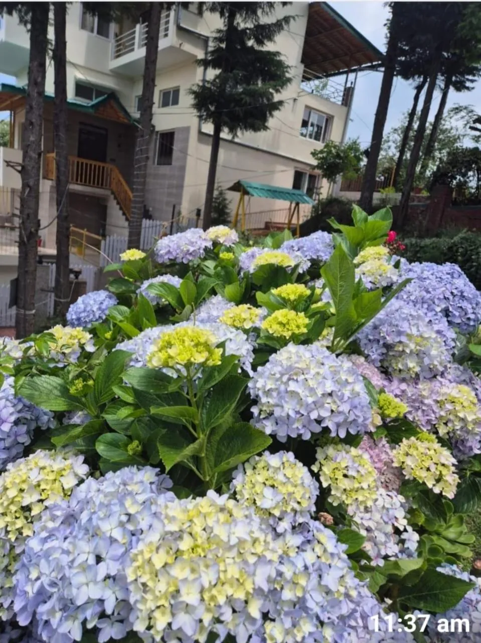 Garden in Khushi Cottage