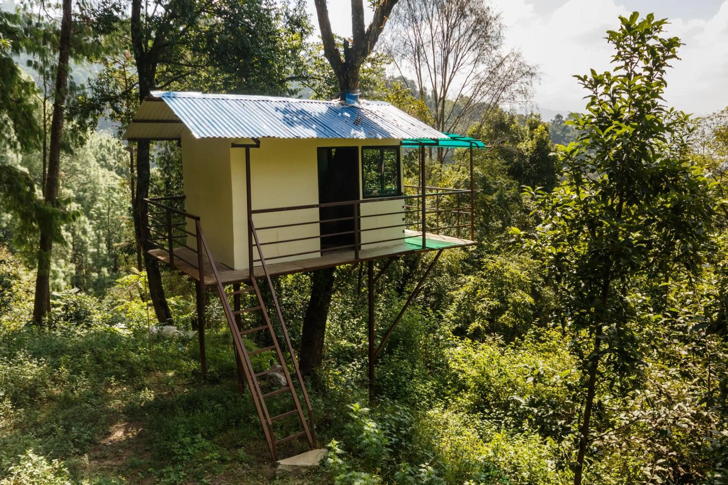 Double Room with Balcony in Jungle Crown Organic Homestay
