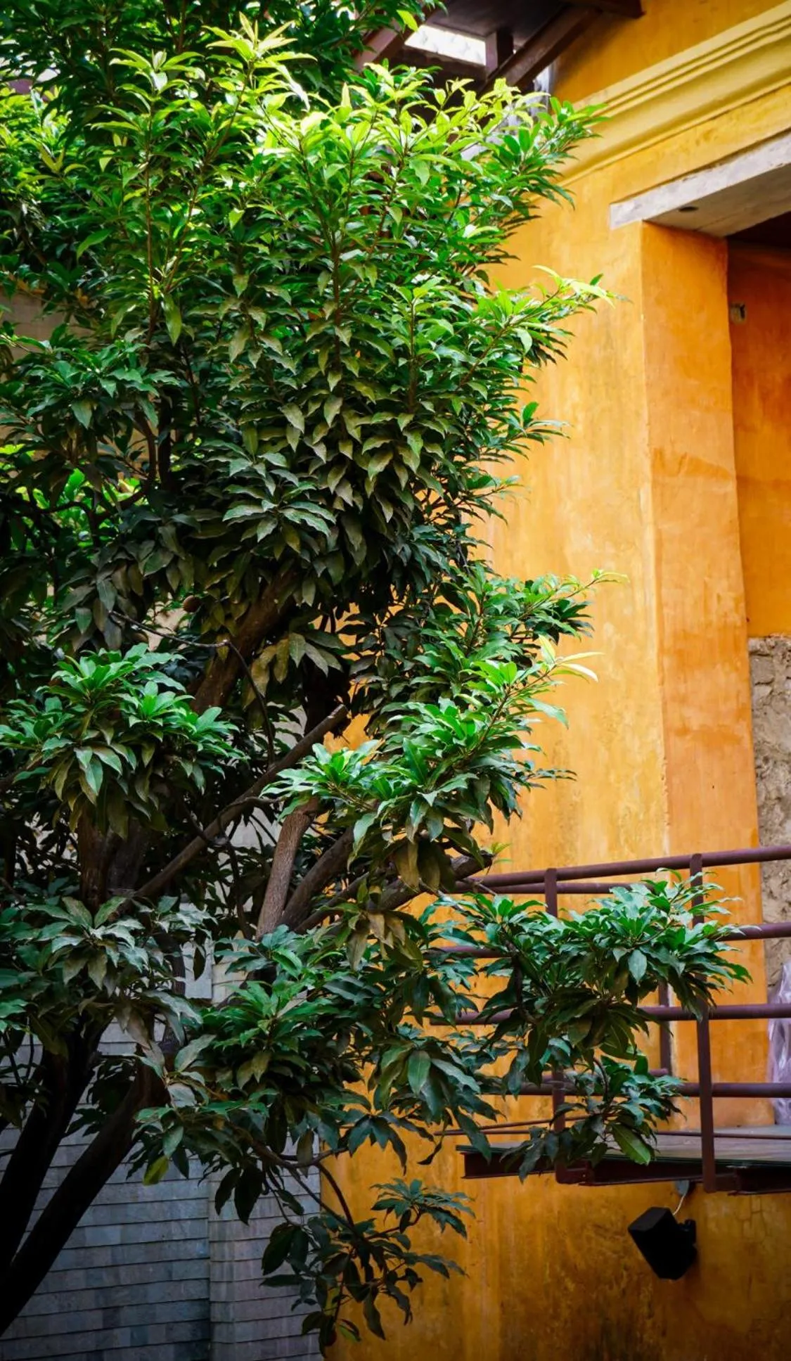 View (from property/room) in Casa Carolina Luxury Wellness Hotel