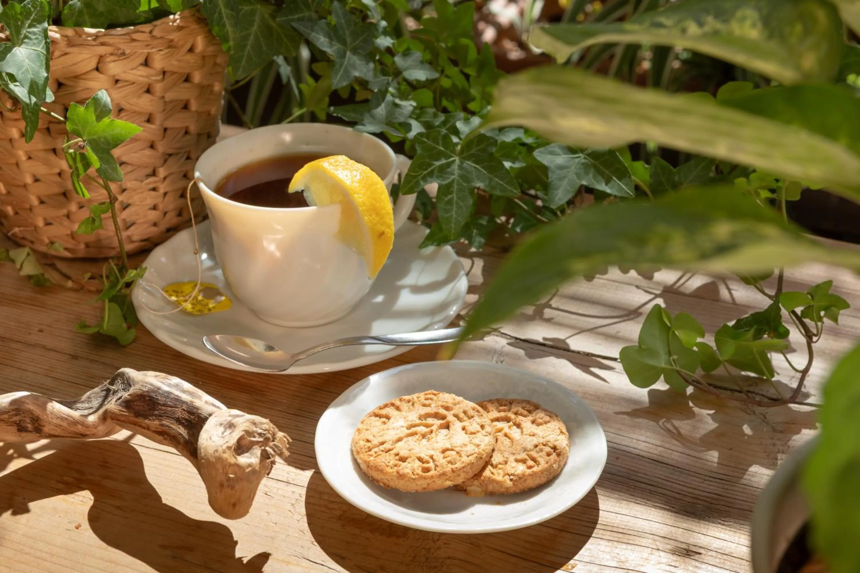 Breakfast in B&B La Volpina