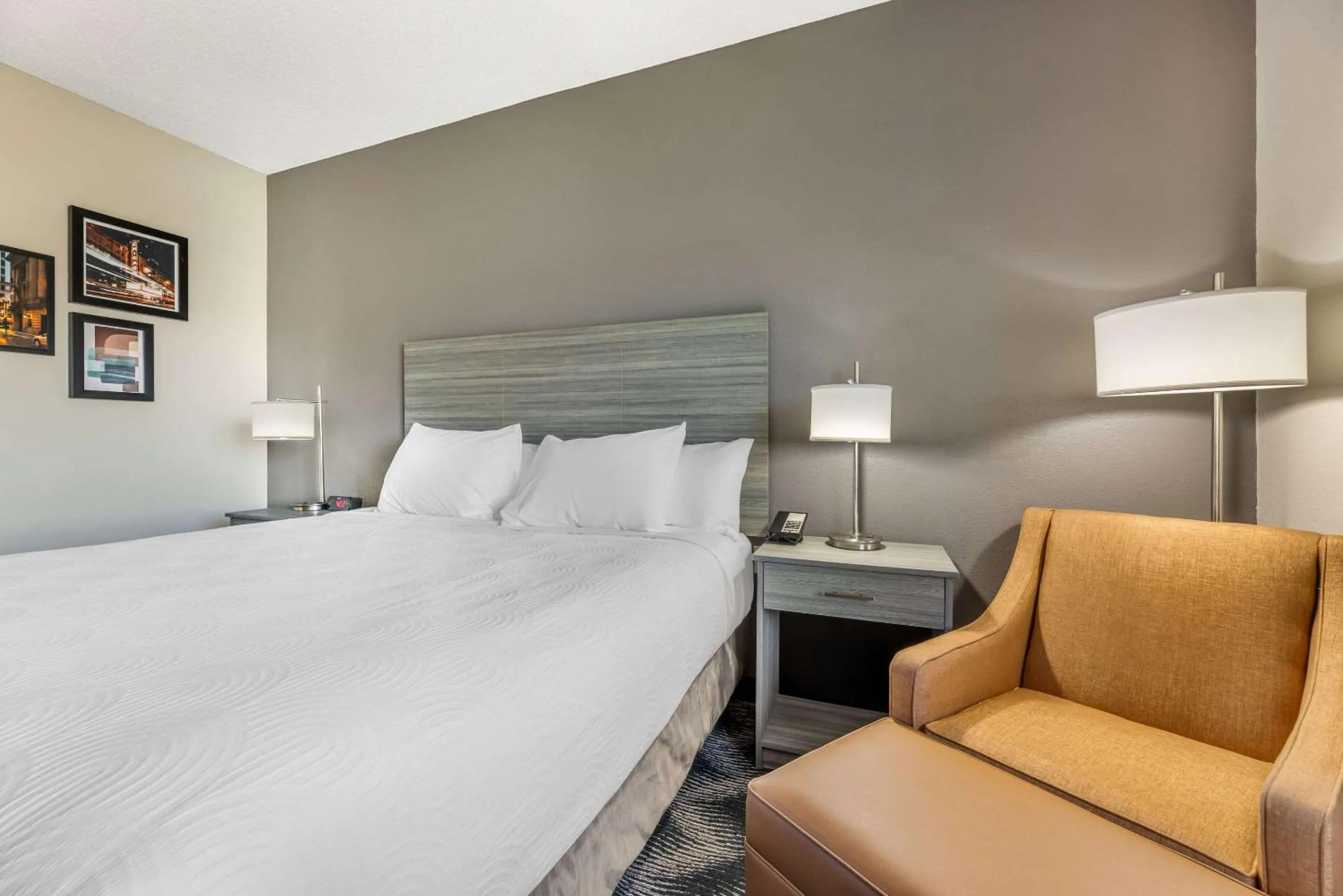 Bedroom, Bed in Country Inn & Suites by Radisson Bolingbrook, I-55