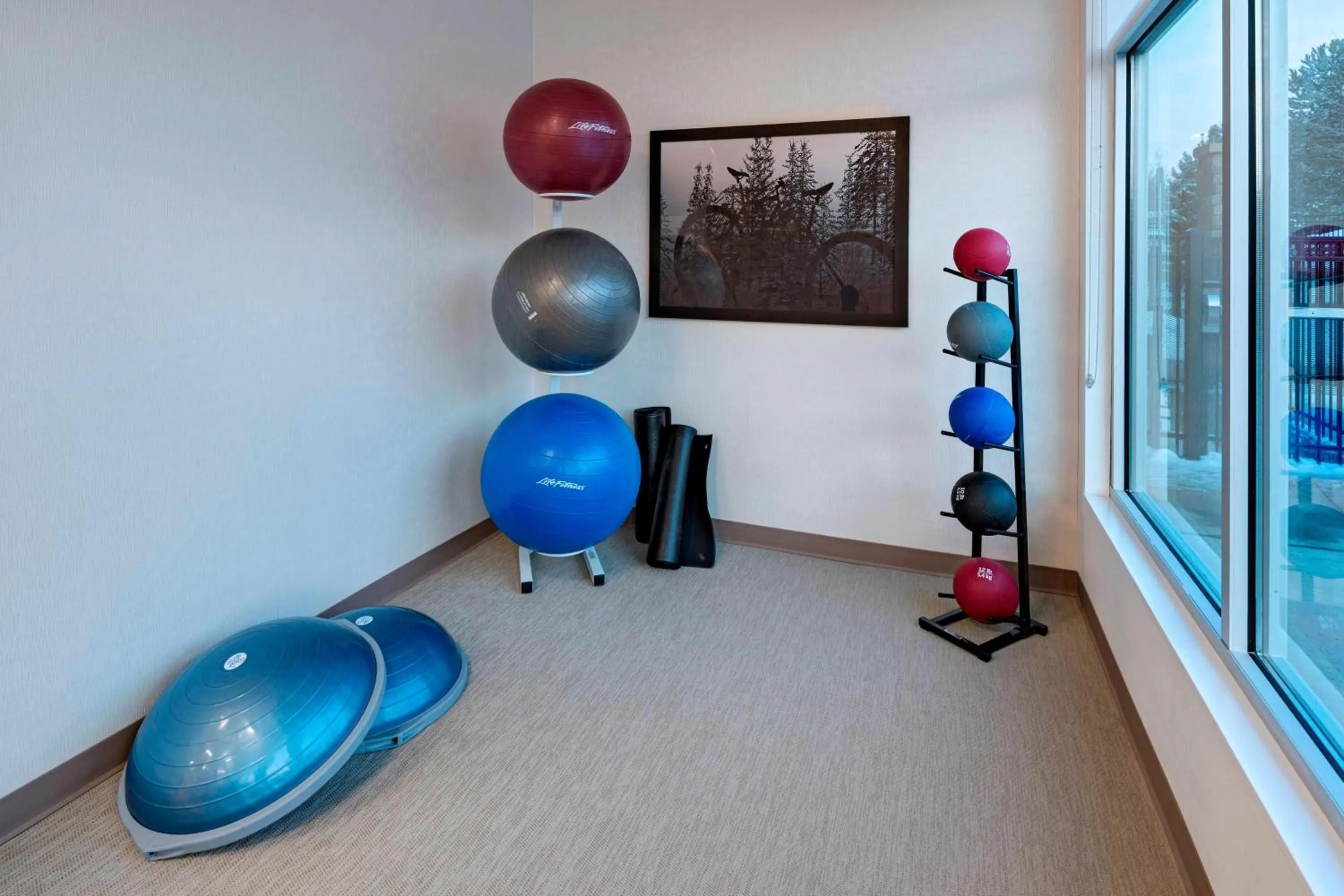 Fitness centre/facilities in SpringHill Suites by Marriott Denver West/Golden