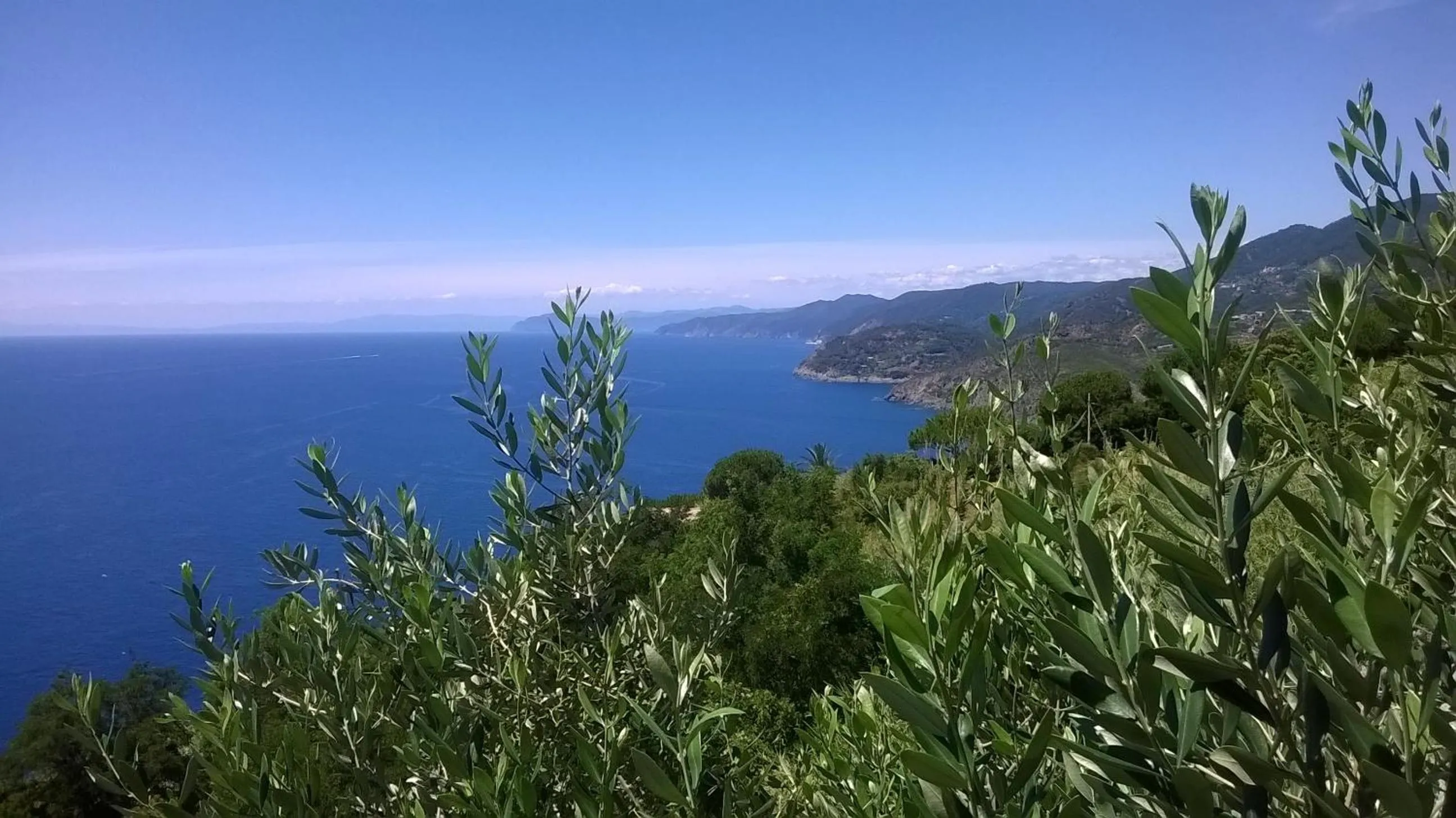Sea view in Hotel La Giada del Mesco