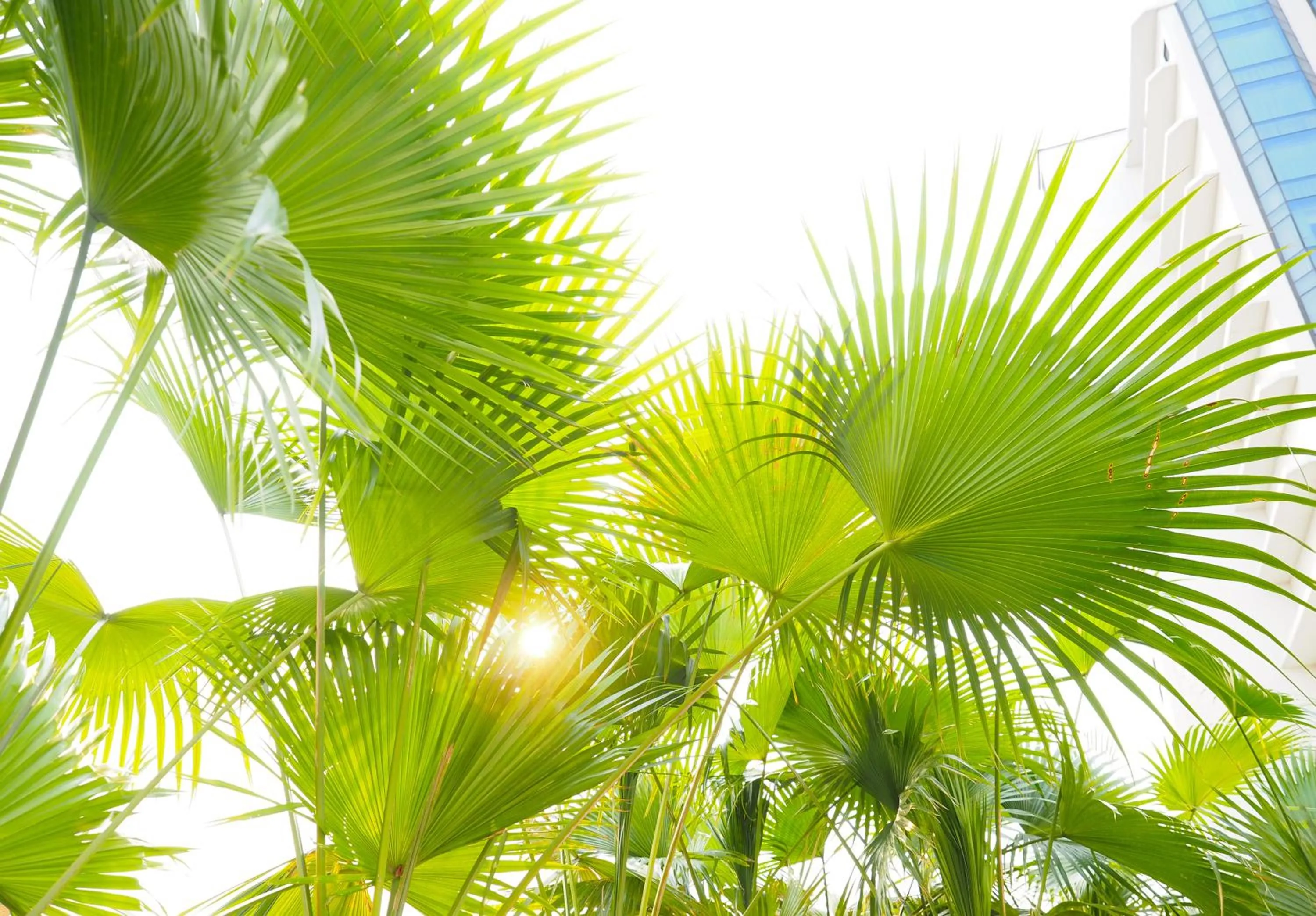Swimming pool in The Empress Premier Chiang Mai