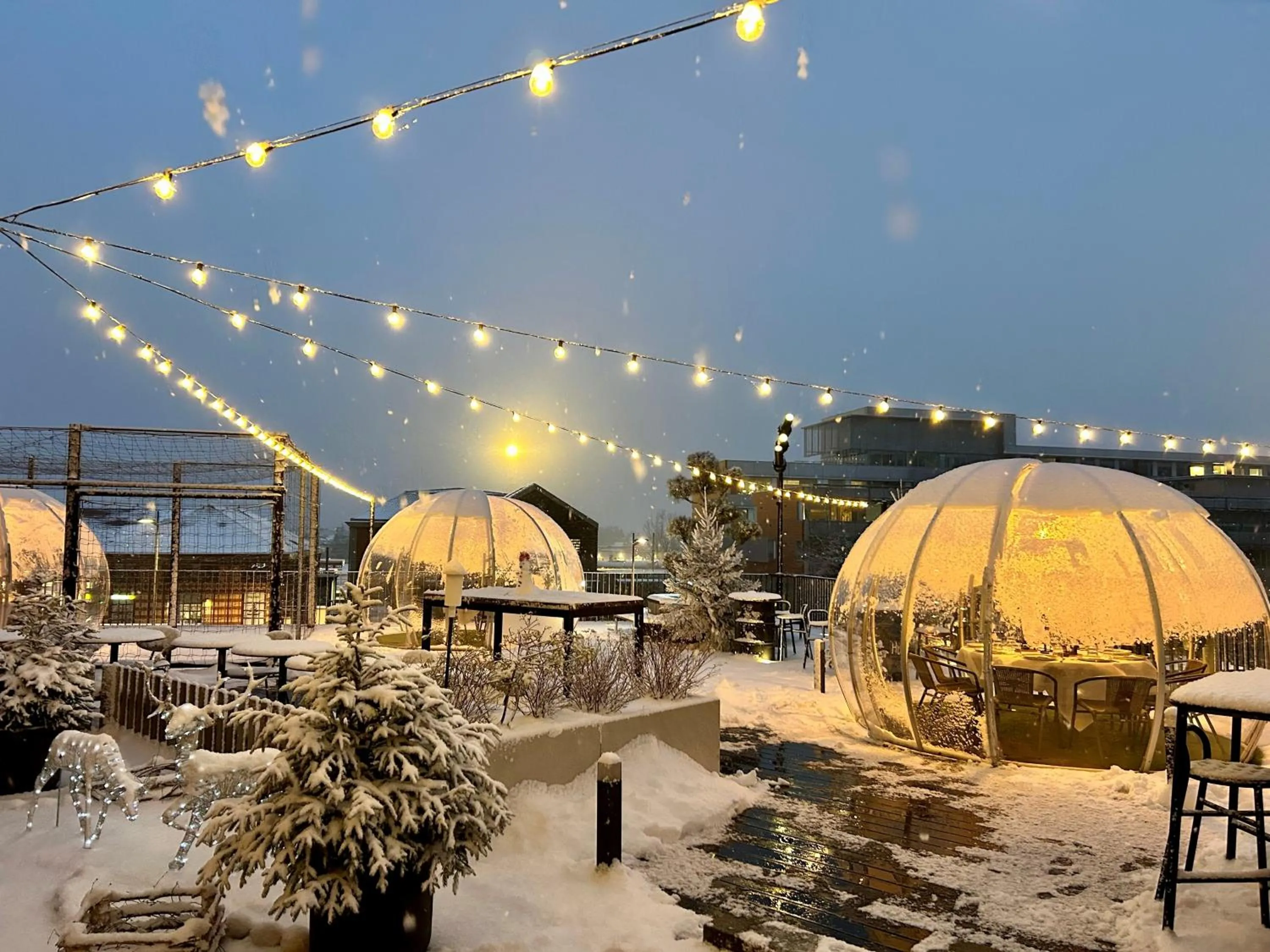 Patio in Novotel Saint-Étienne Centre Gare Châteaucreux